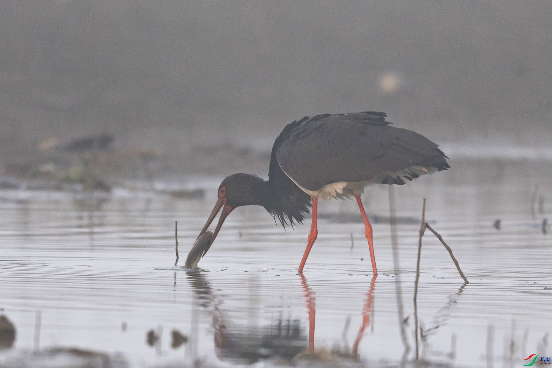 ���ٲ���2