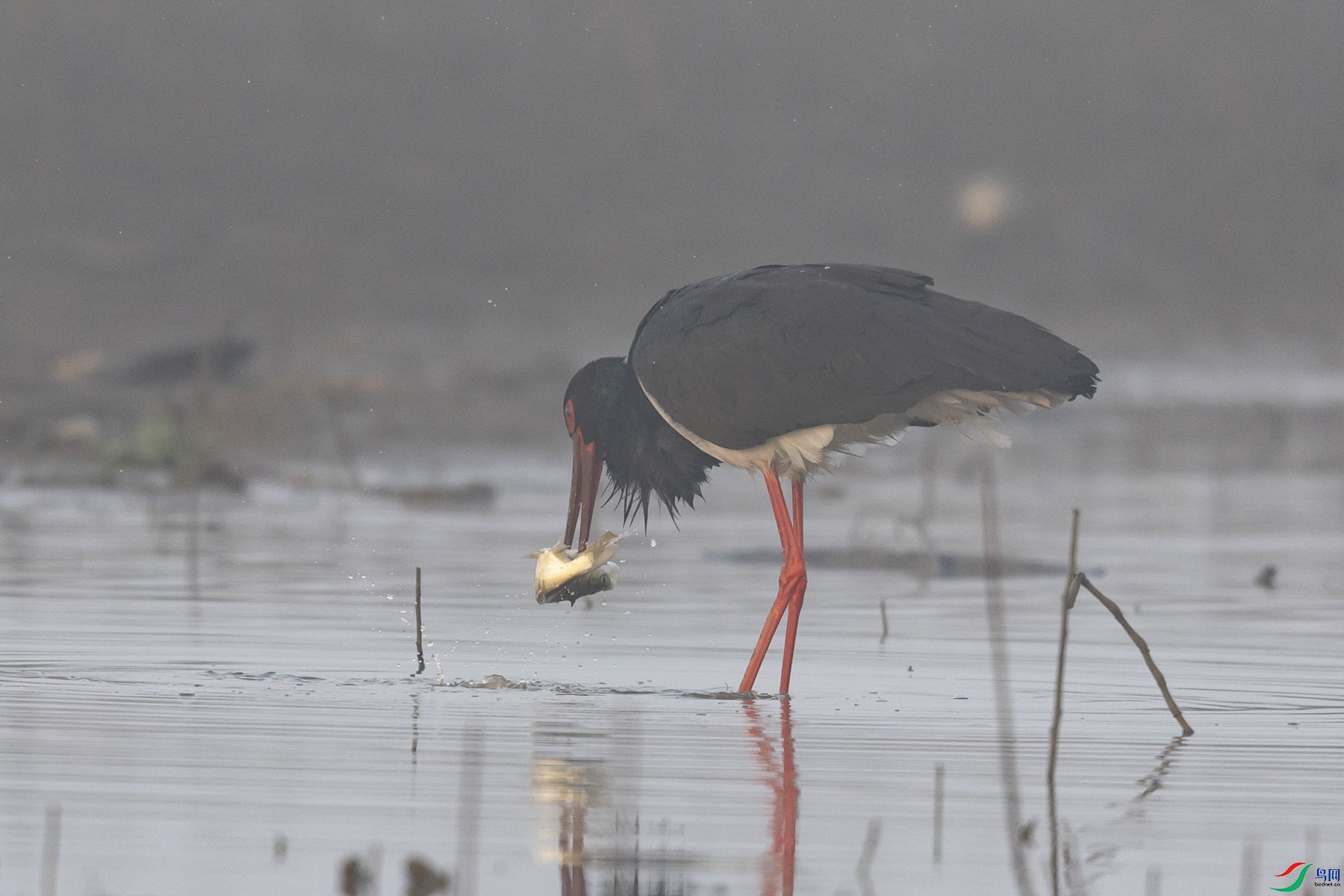 ���ٲ���3