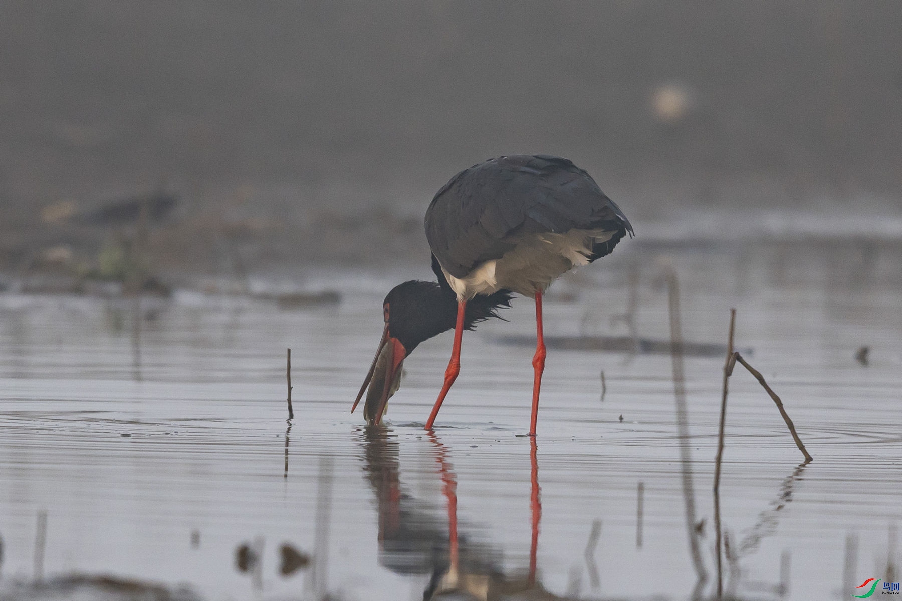 ���ٲ���4