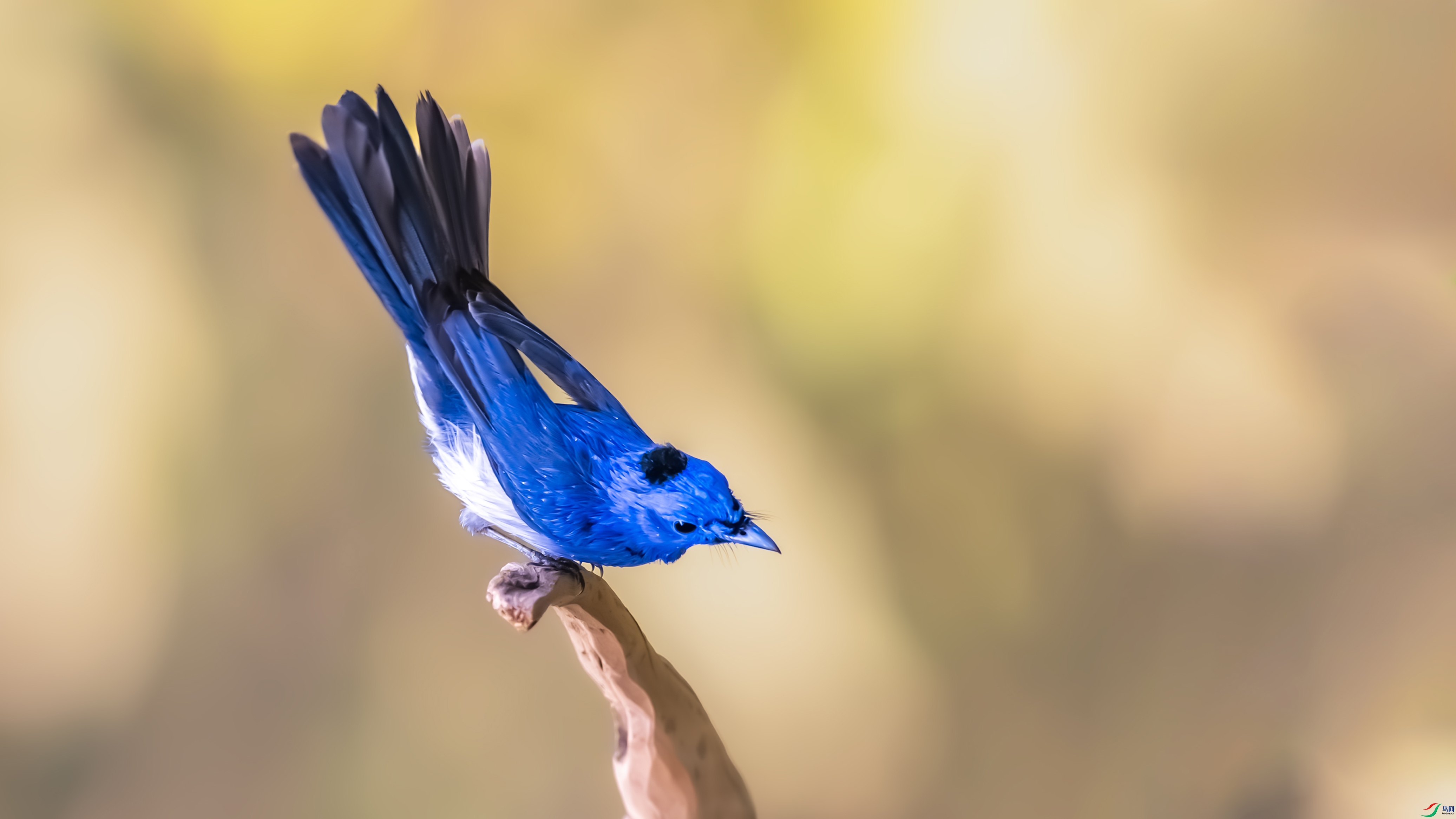 7302-1 ����.jpg