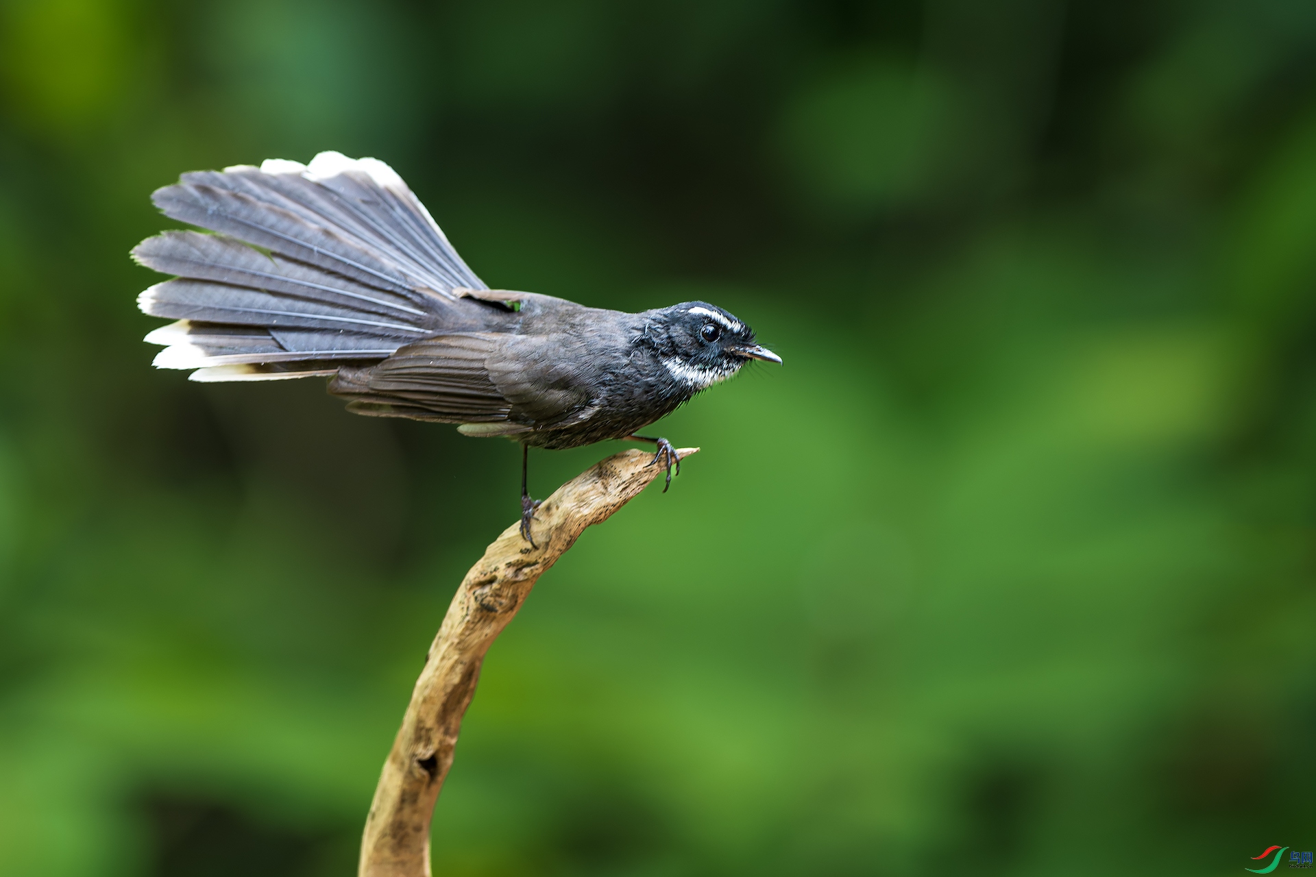 1_XXL7740-����ǿ-NR ����.jpg