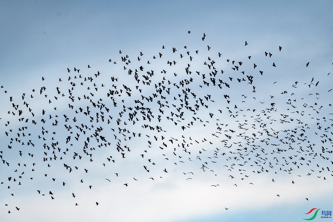 _DSC4208 ����.jpg