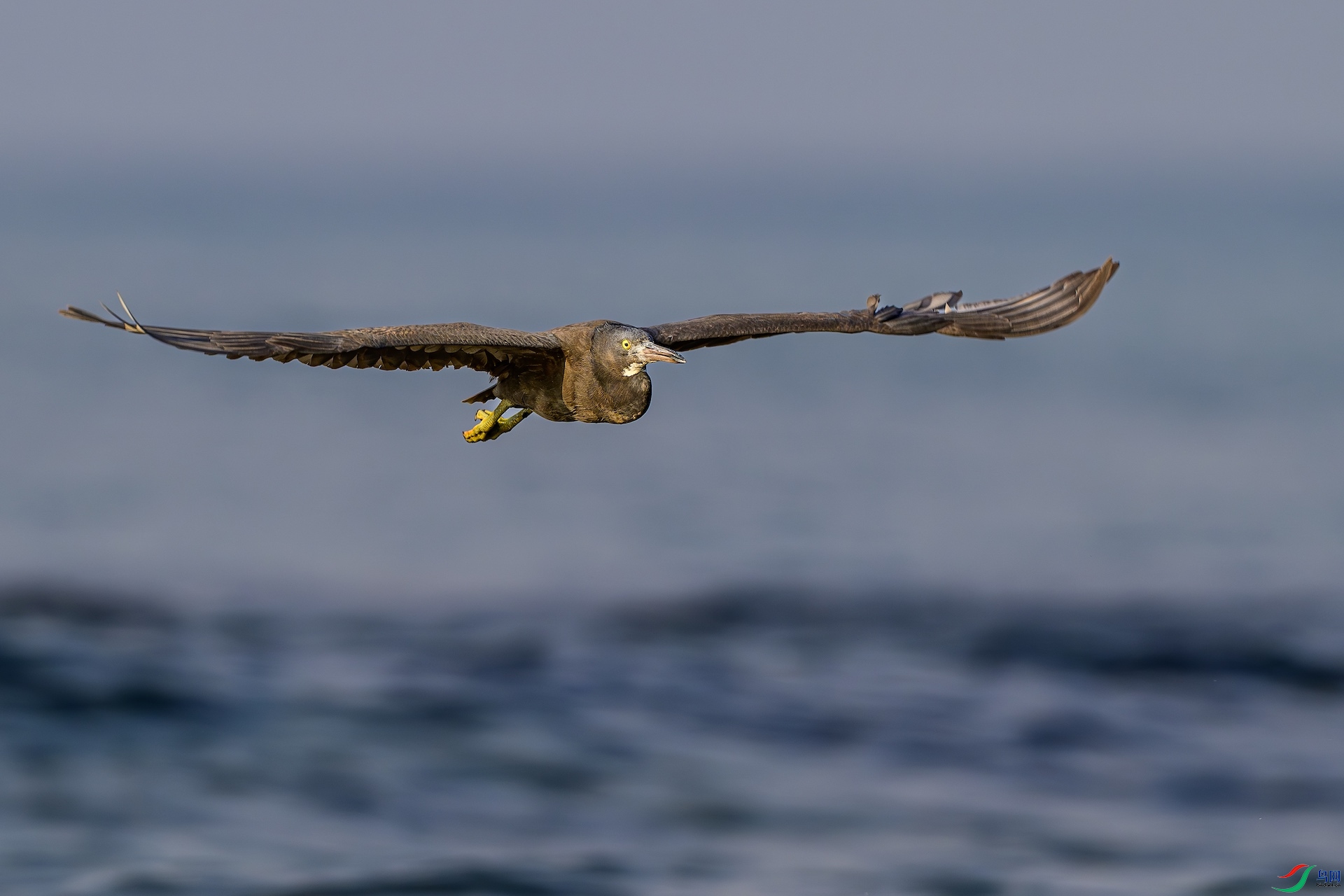 2_XXL8991-����ǿ-NR ���� 2.jpg3.jpeg