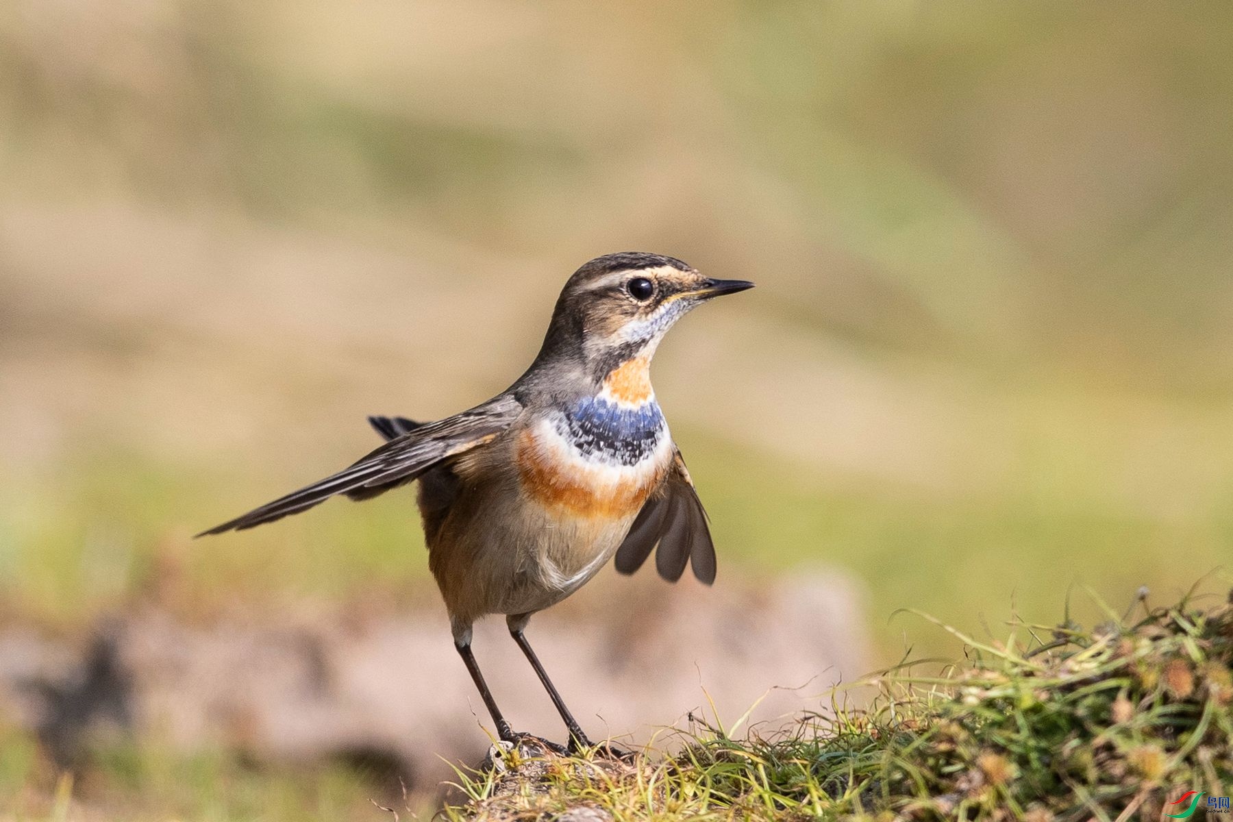 �������