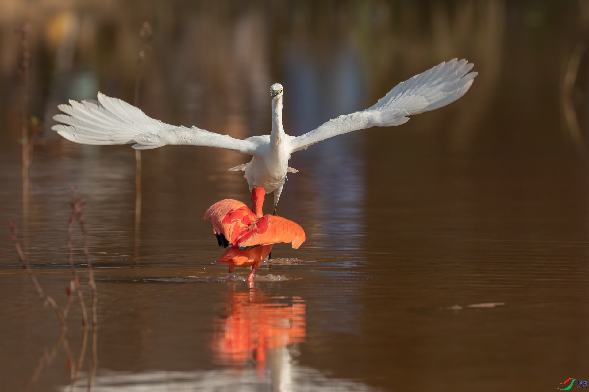 B86I7083 _����.jpg