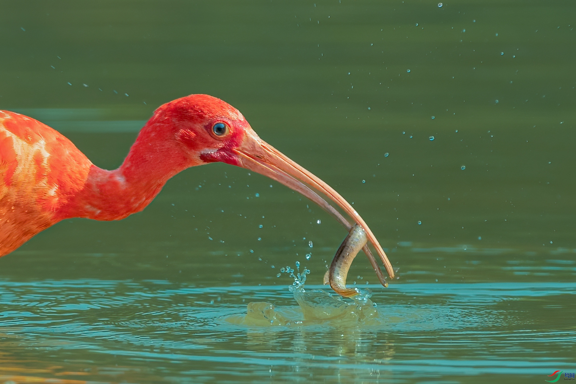 B86I5636 _����.jpg