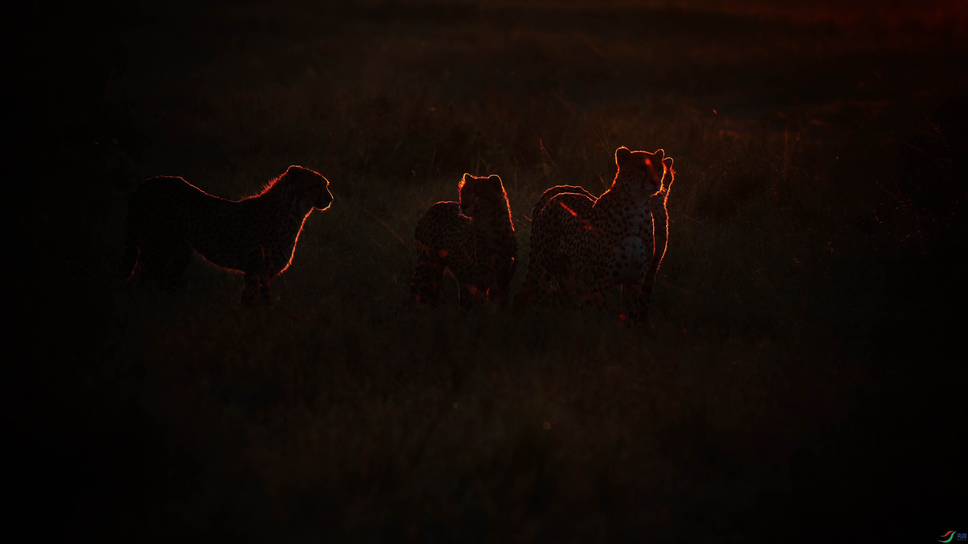 _DSC0487-����ǿ-NR ����.jpg