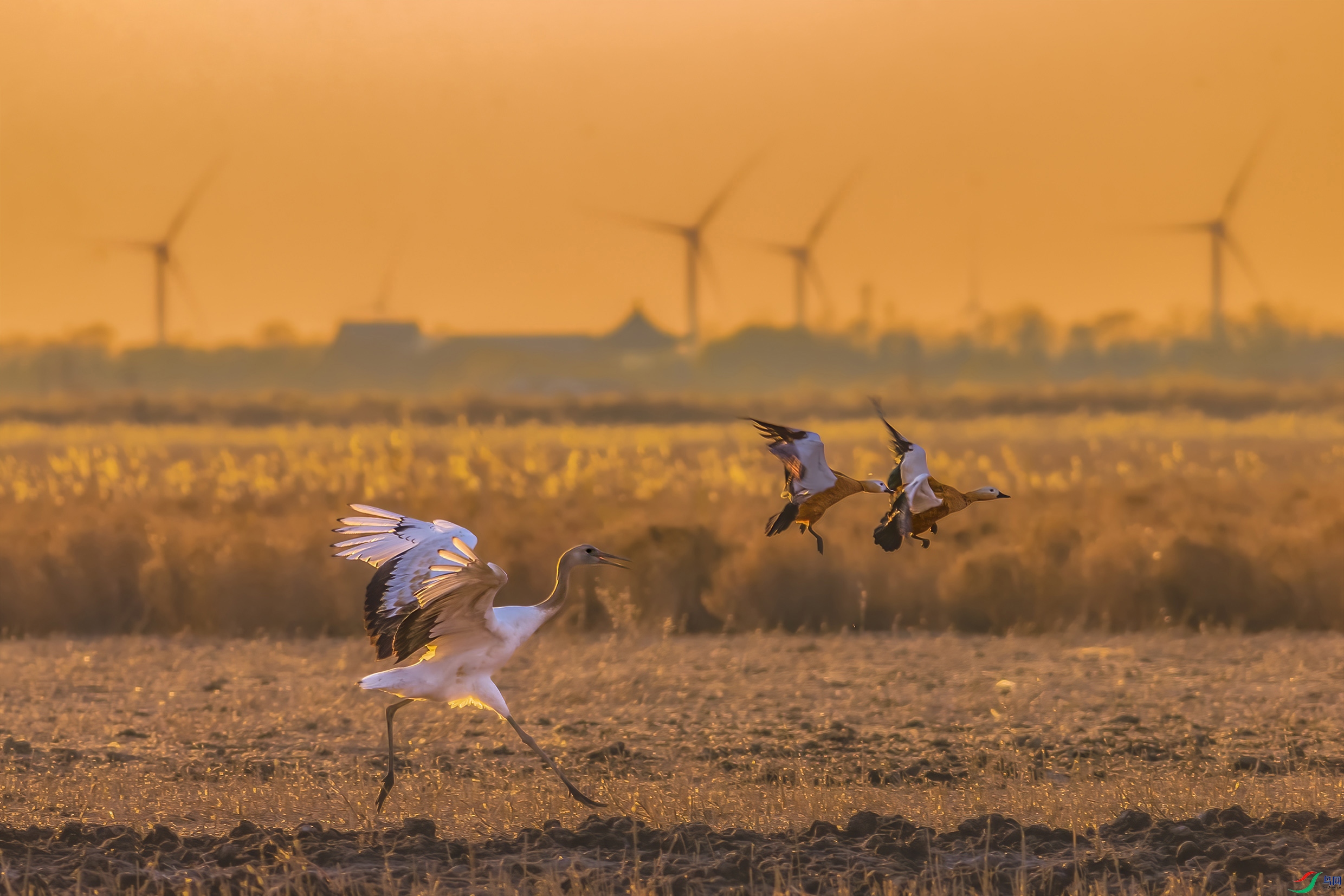 C09R0611 ����.jpg