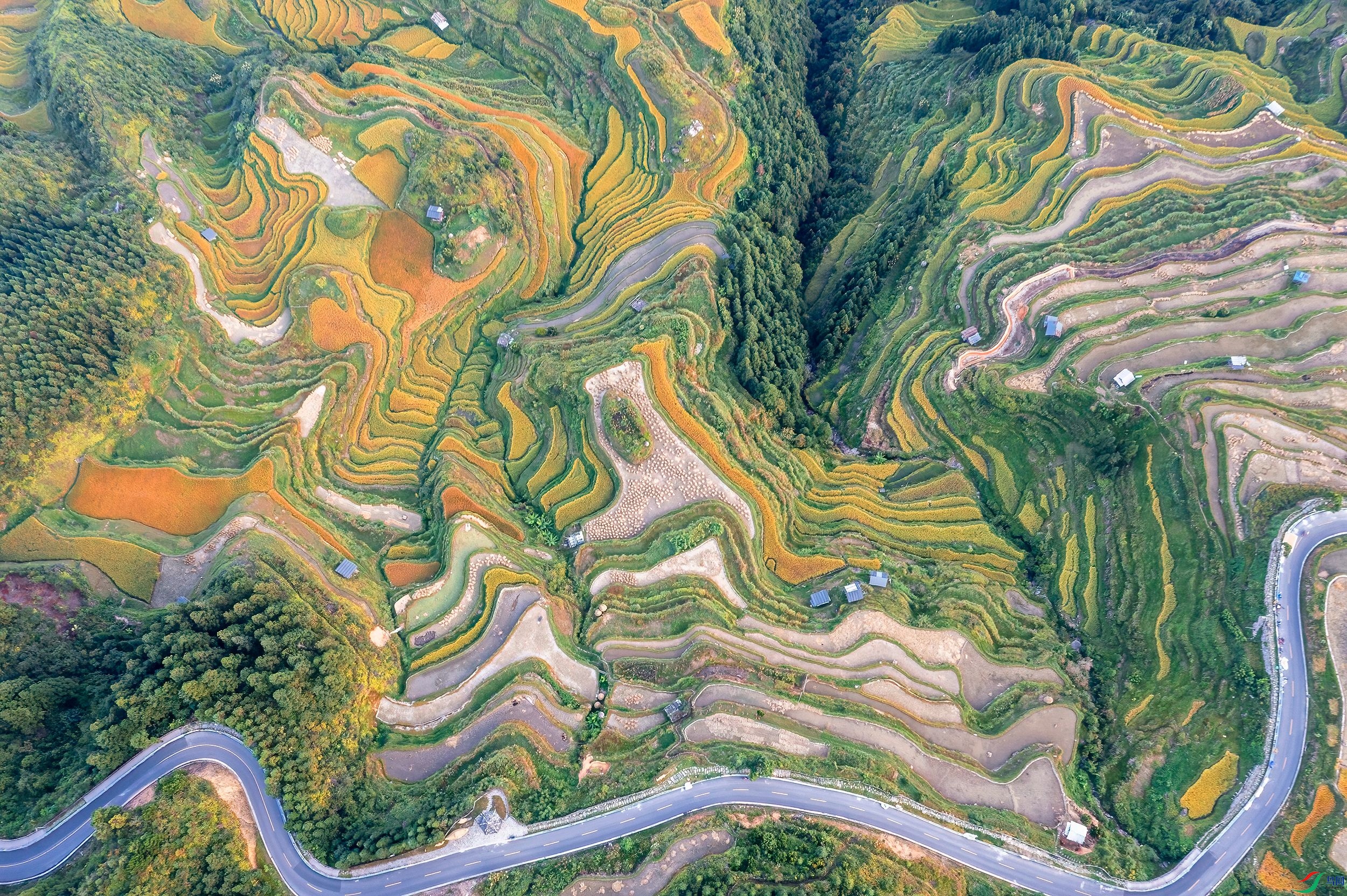 DJI_0546 ����_����.jpg