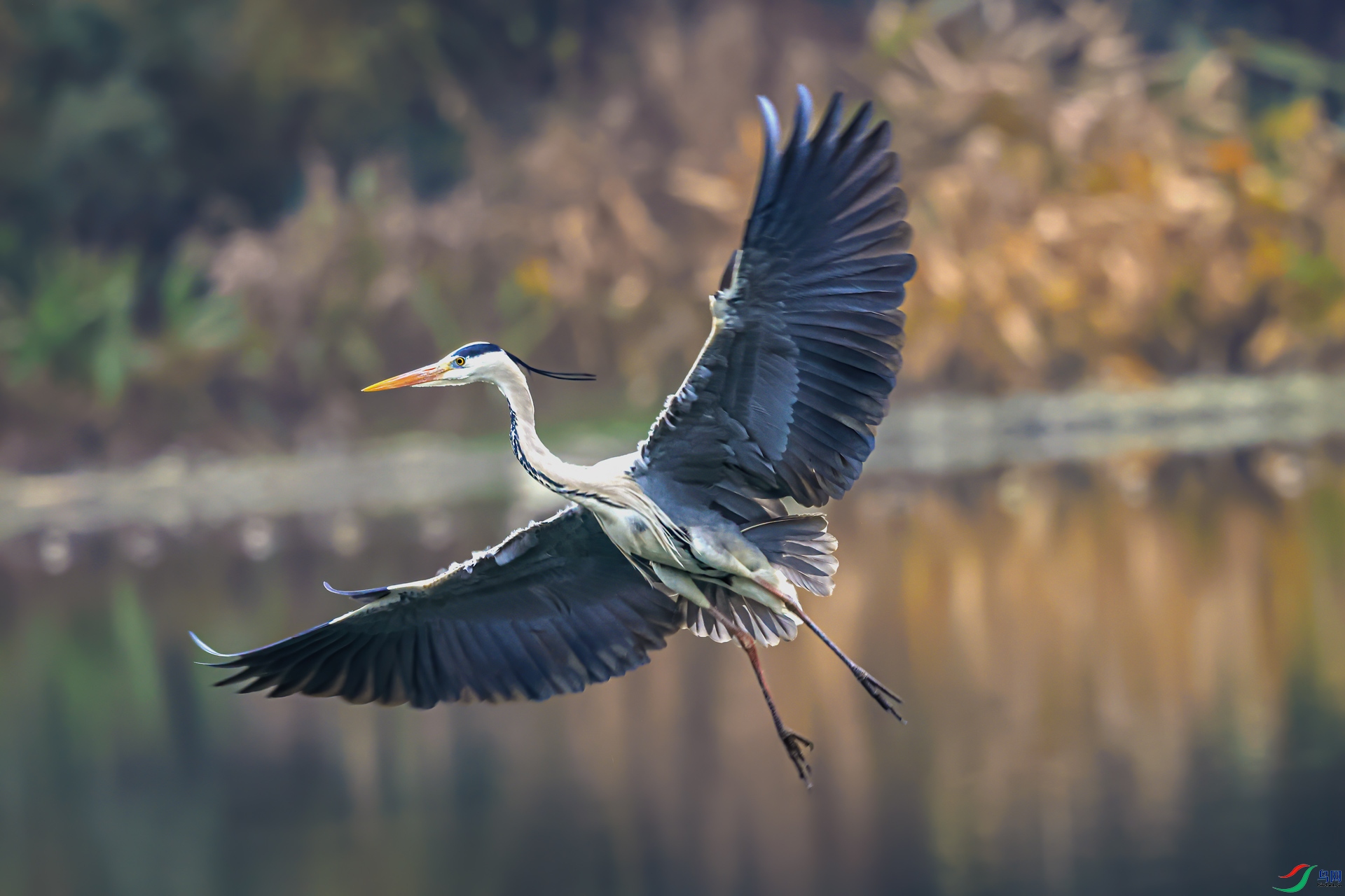 ����1M5A0428.jpg