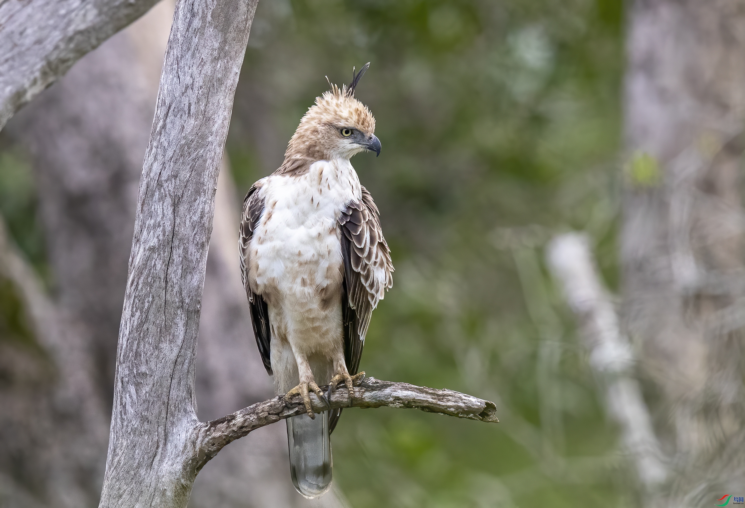 AC3I3062 ����.jpg