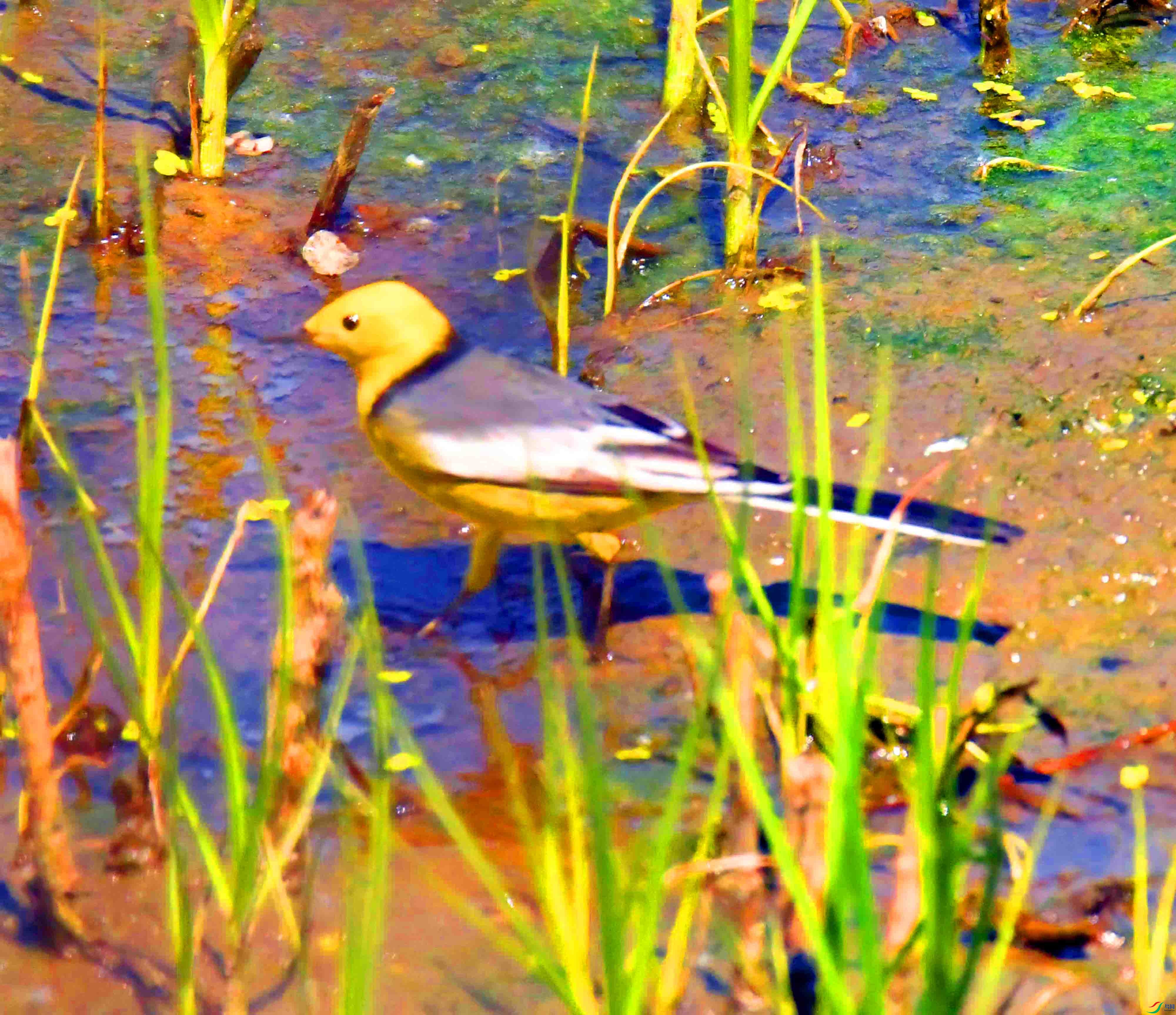 DSC_0306.JPG