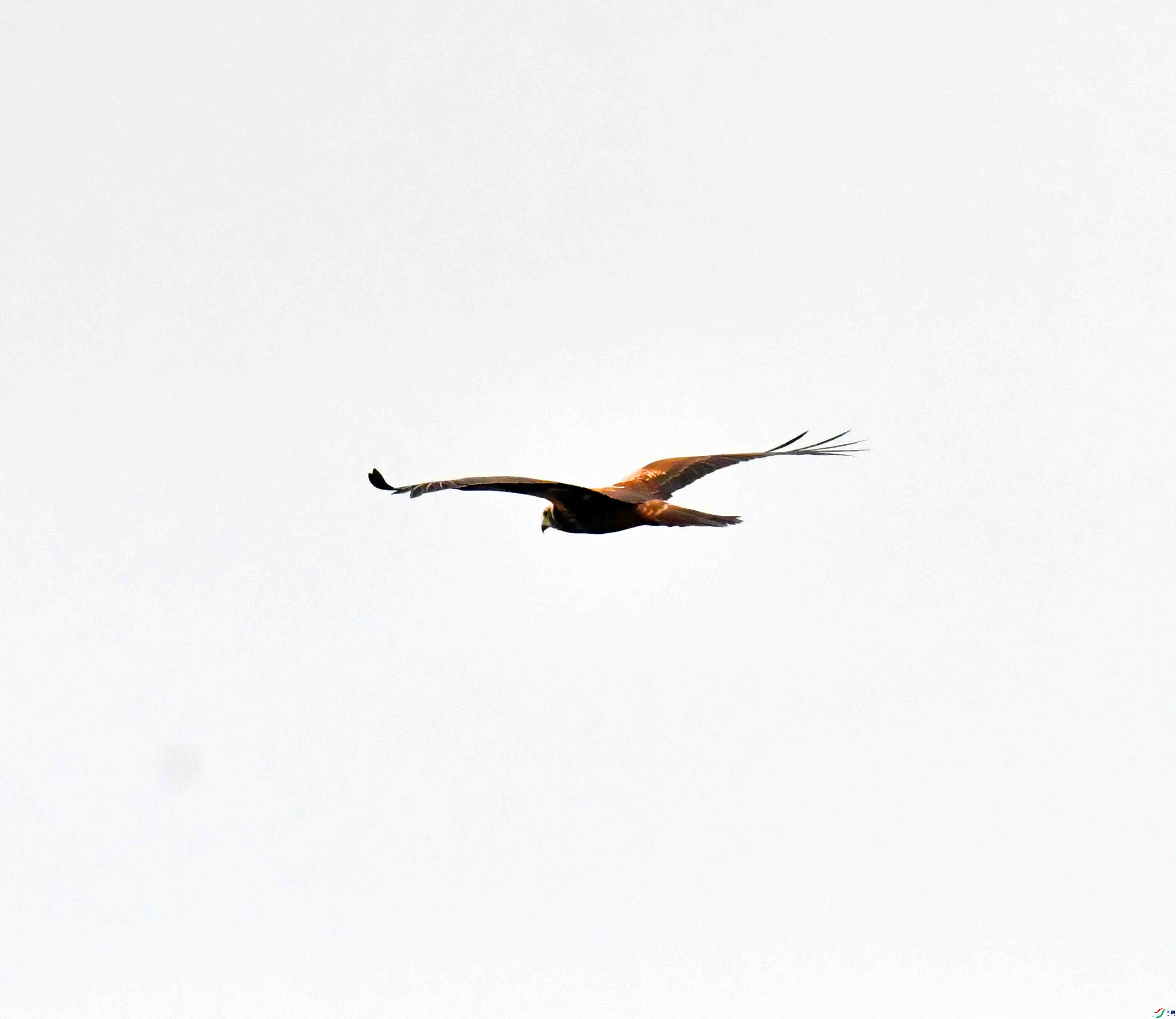 DSC_7546.JPG