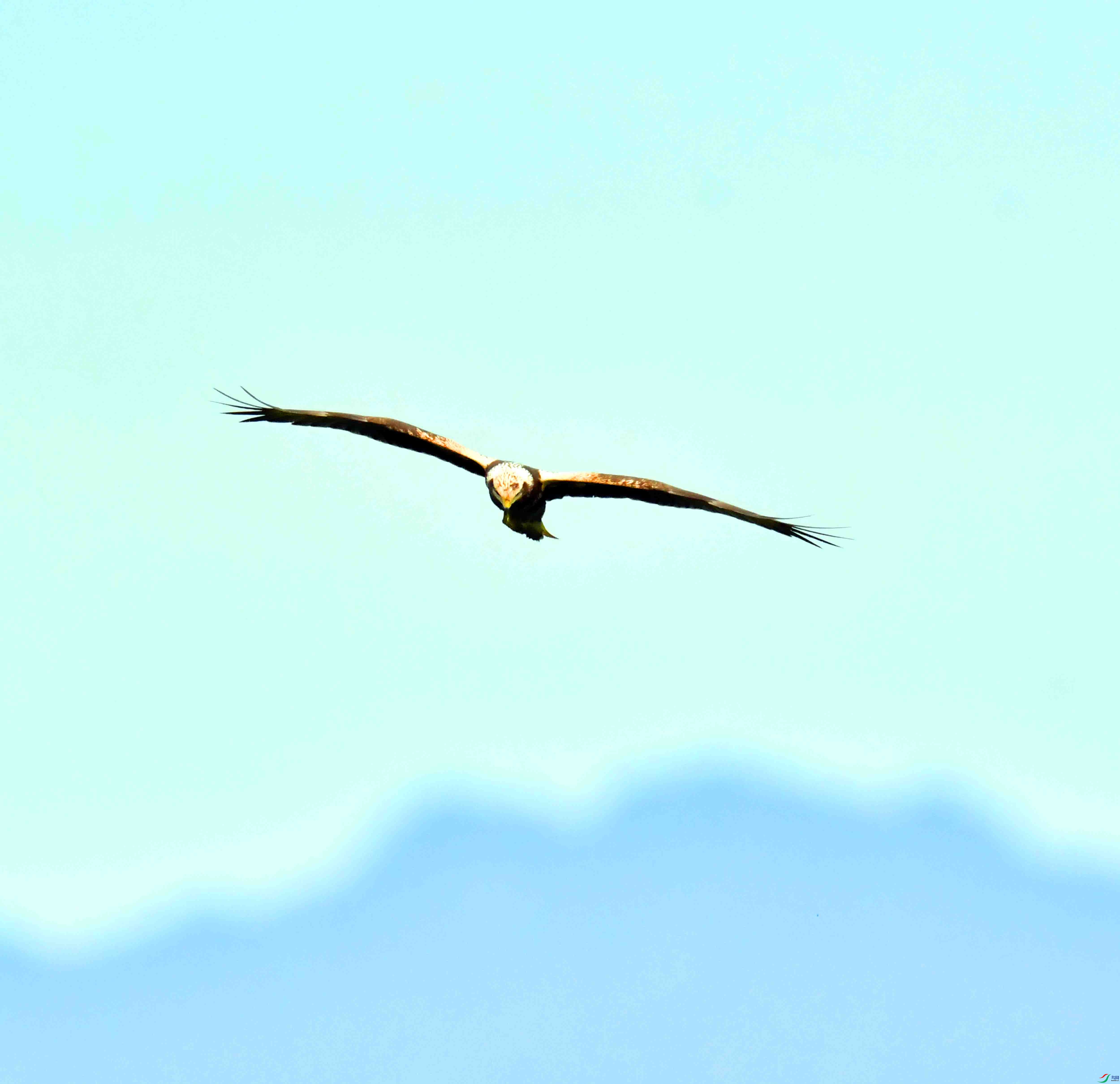 DSC_7634.JPG