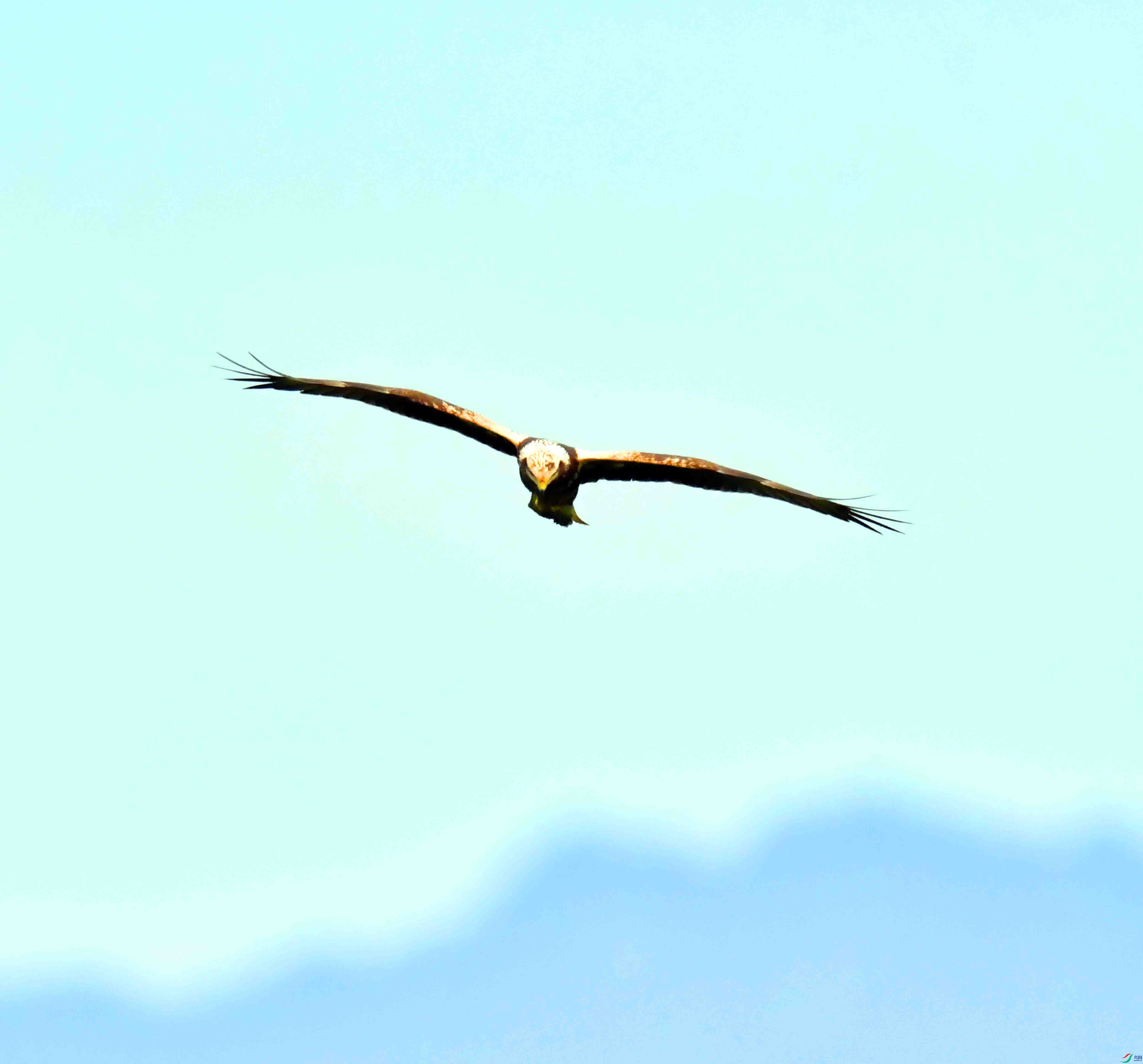 DSC_7635.JPG