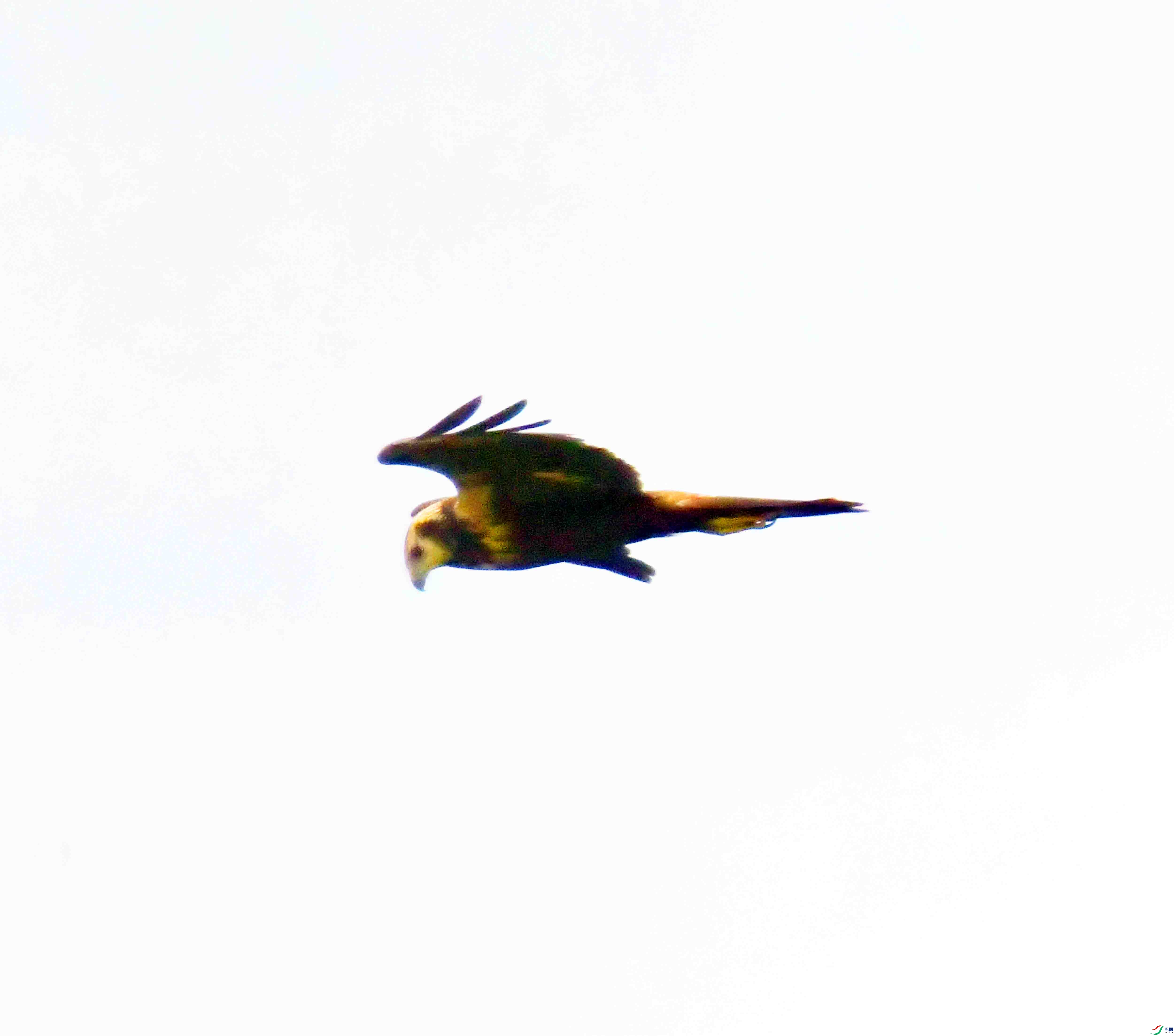 DSC_7849.JPG