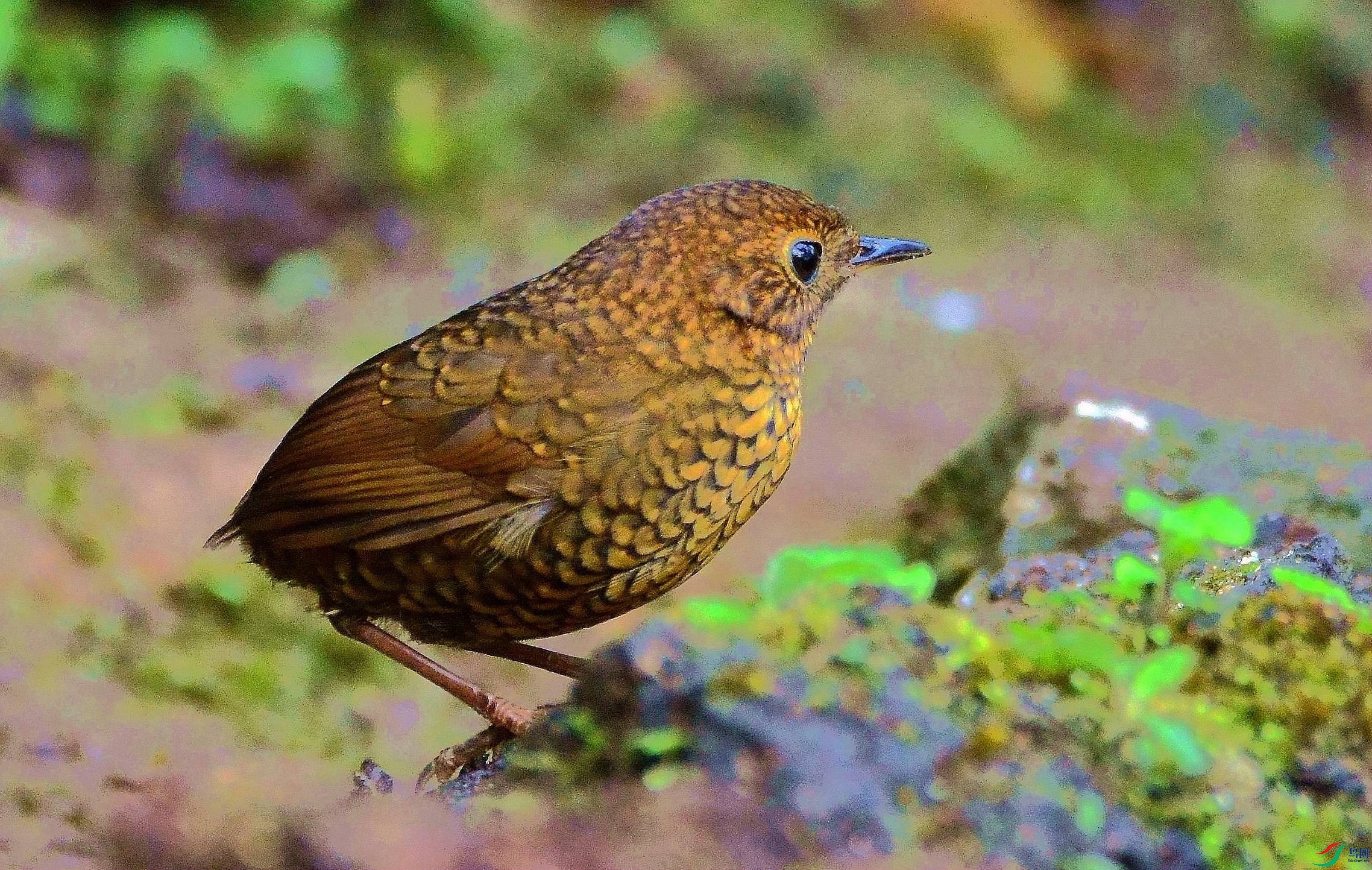 DSC_6902.JPG