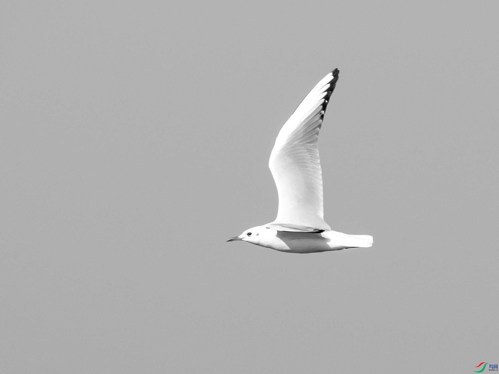 PB052259.jpg