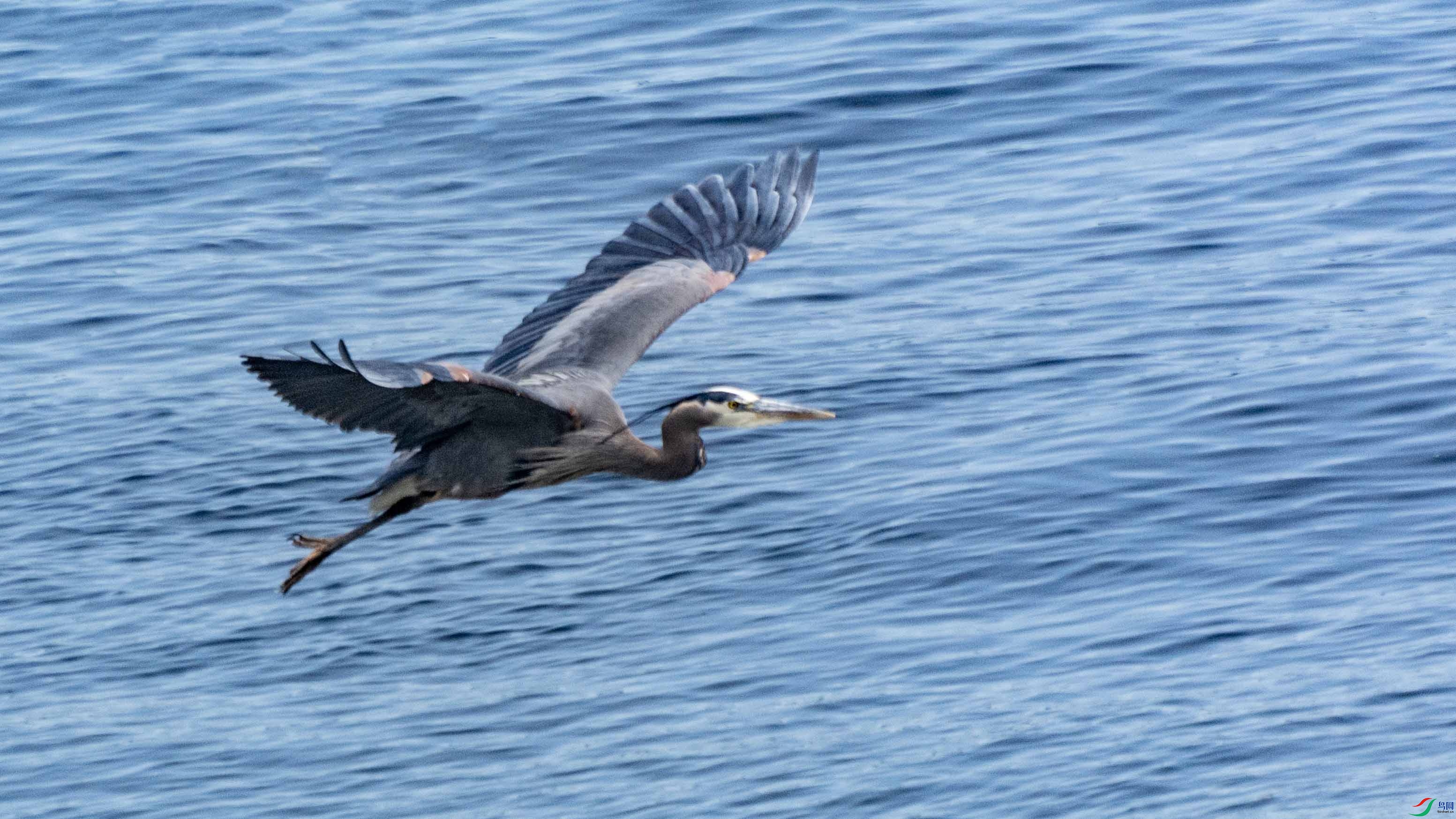 DSC_7698 ����.jpg