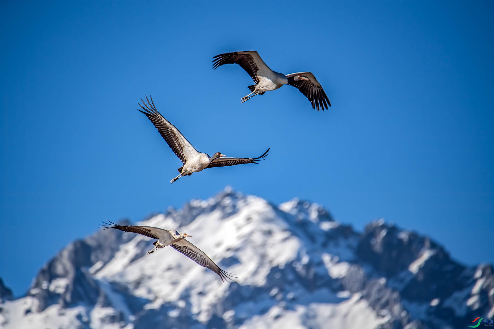 DSC_5249-С.jpg