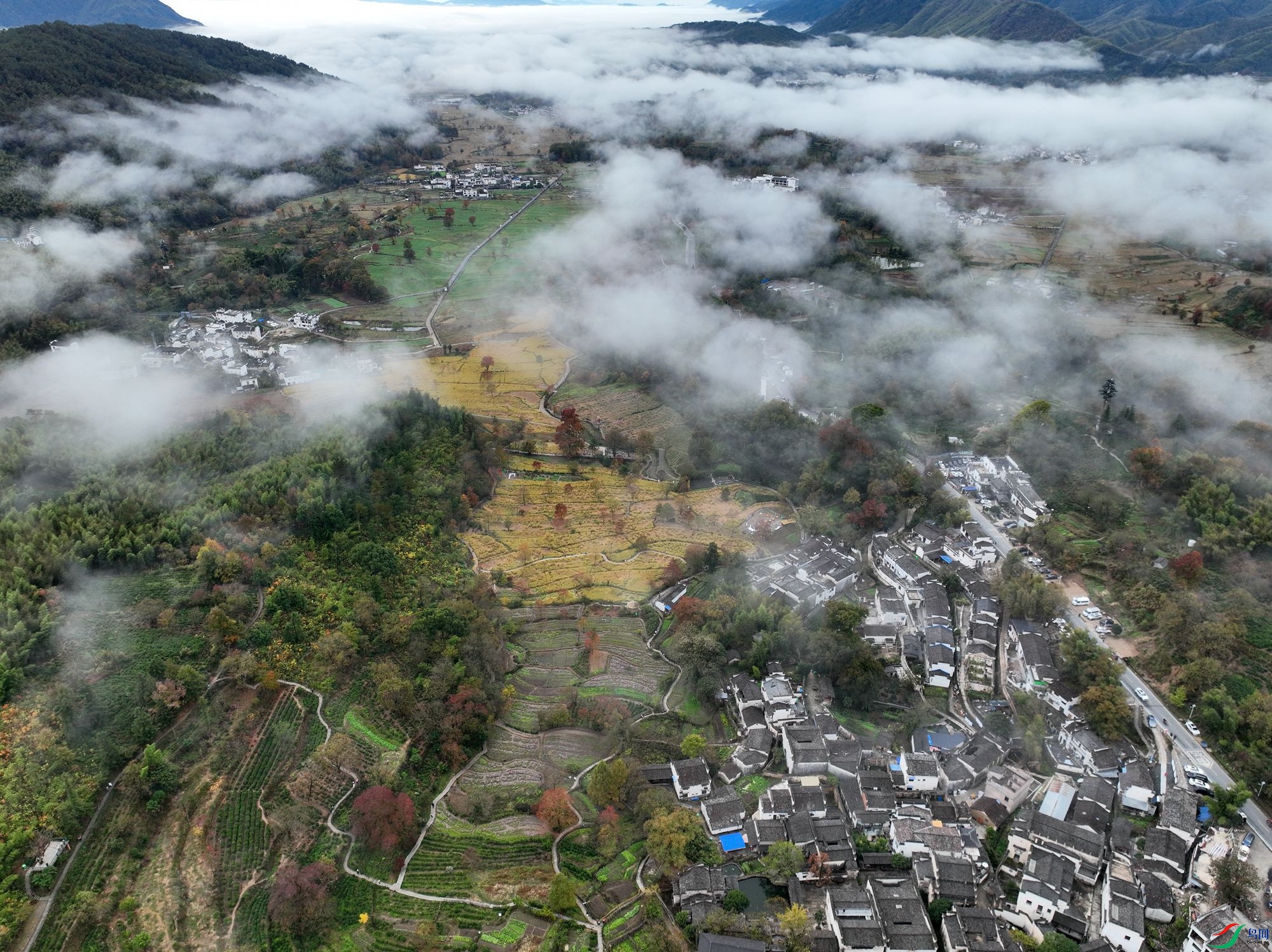 DJI_0448.JPG