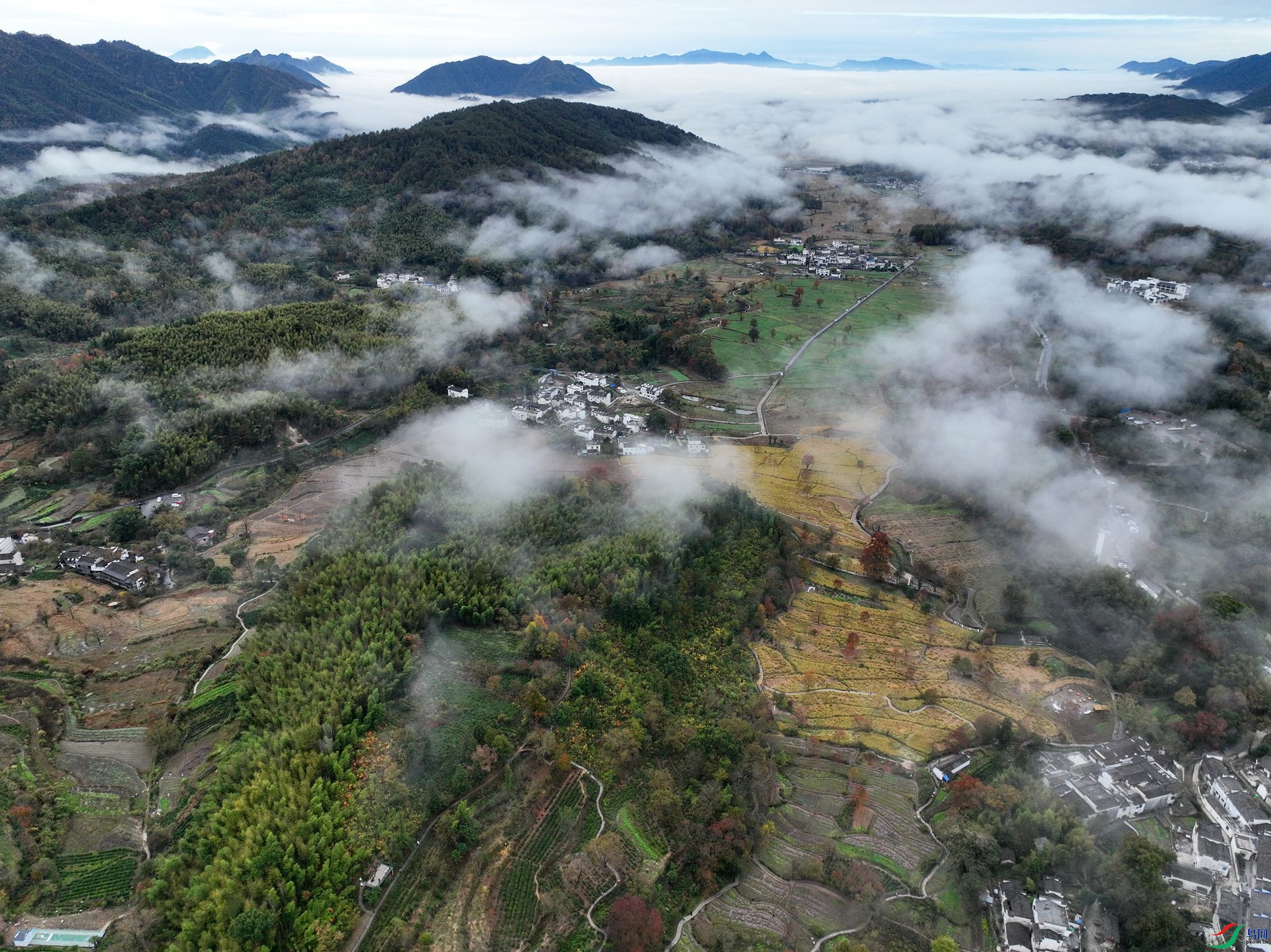 DJI_0110.JPG