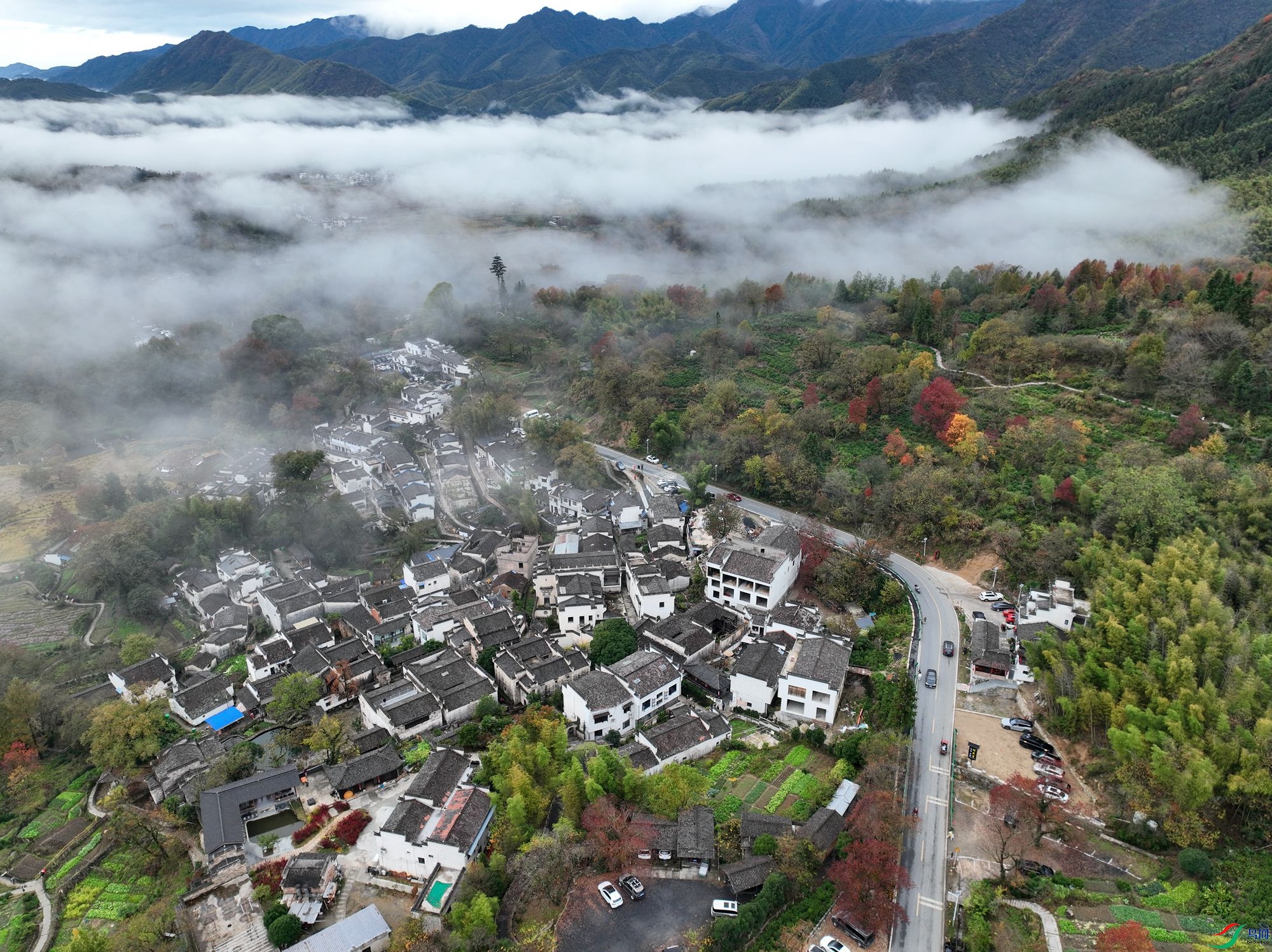 DJI_0446.JPG