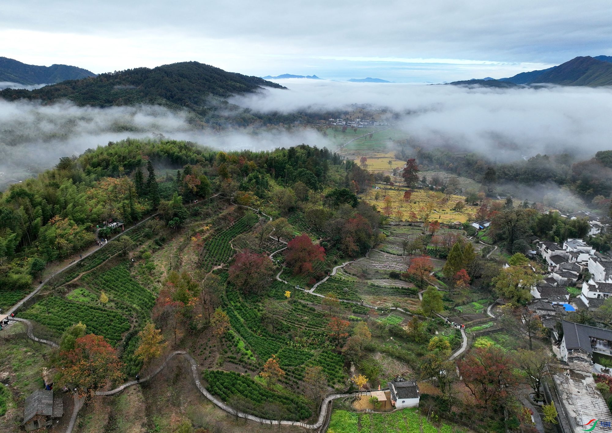 DJI_0437.JPG