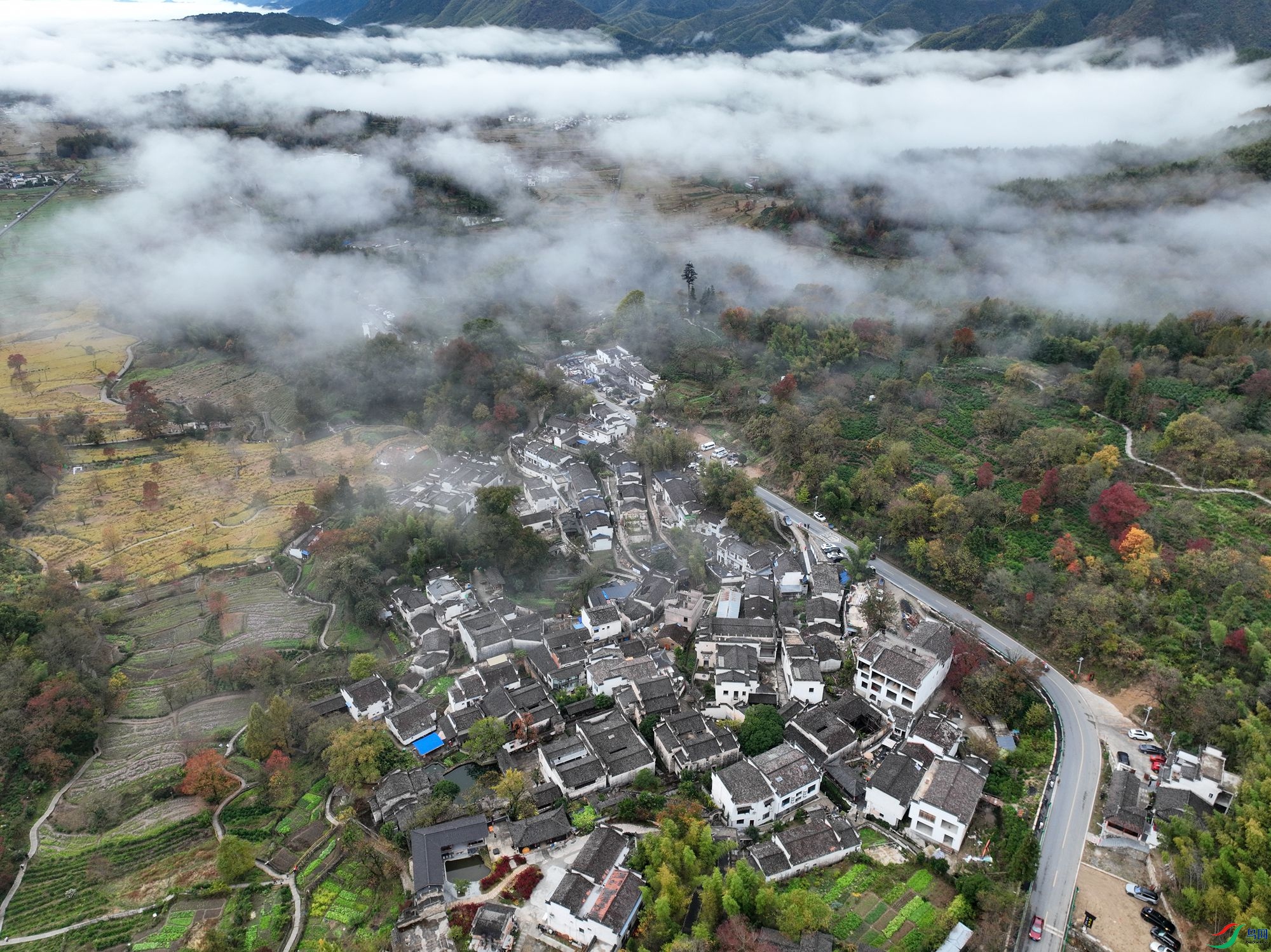 DJI_0447_����.jpg