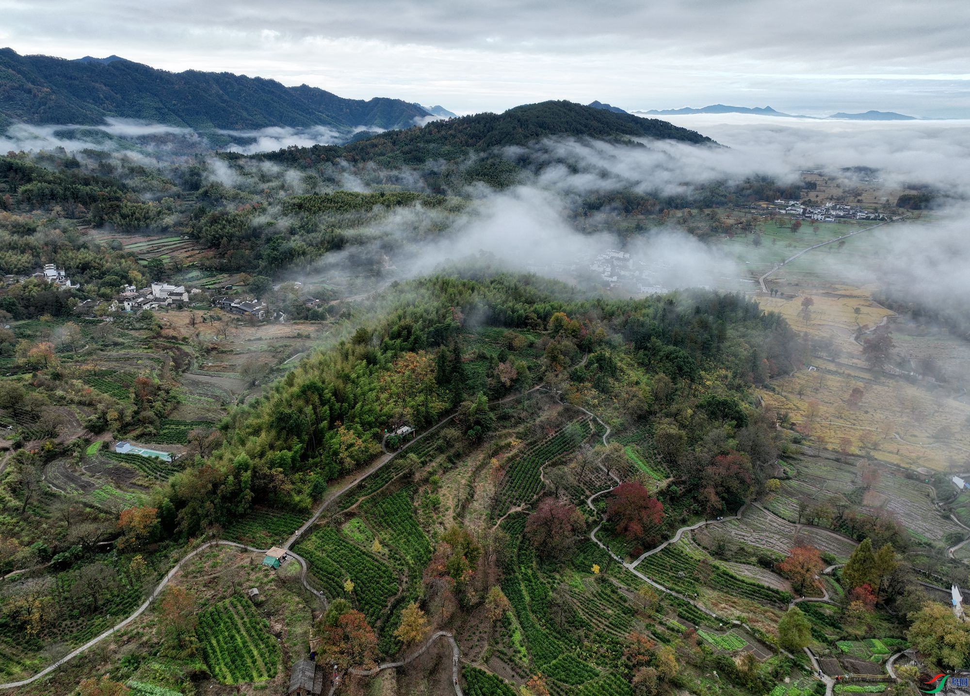 DJI_0443.JPG