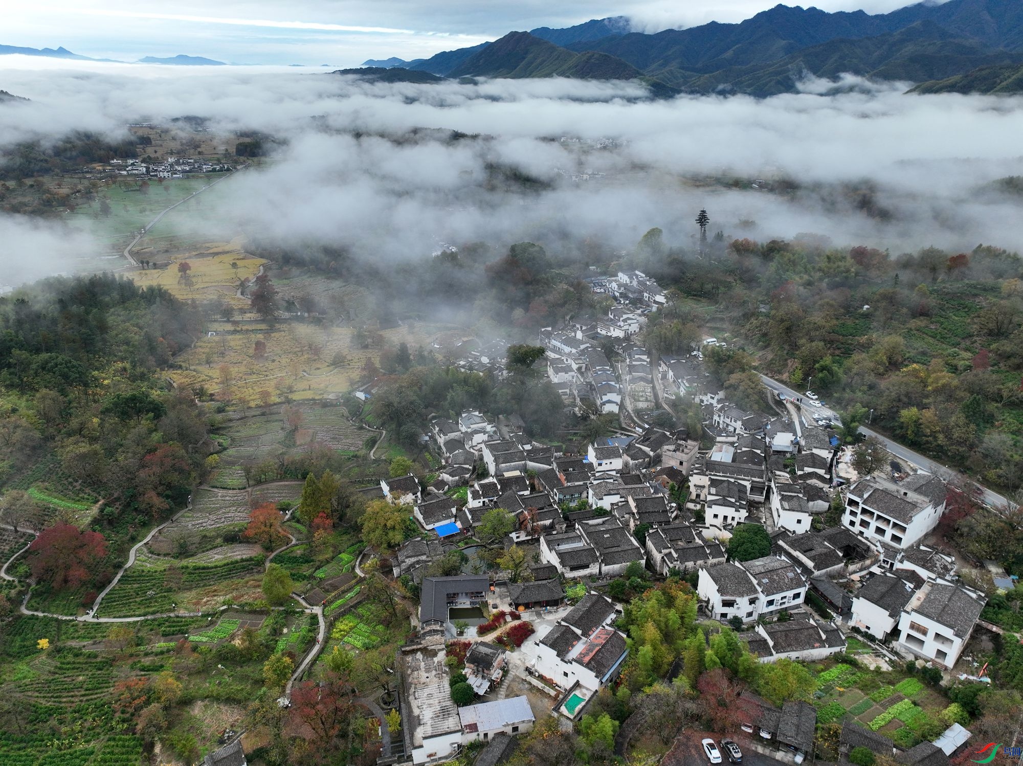 DJI_0445_����.jpg