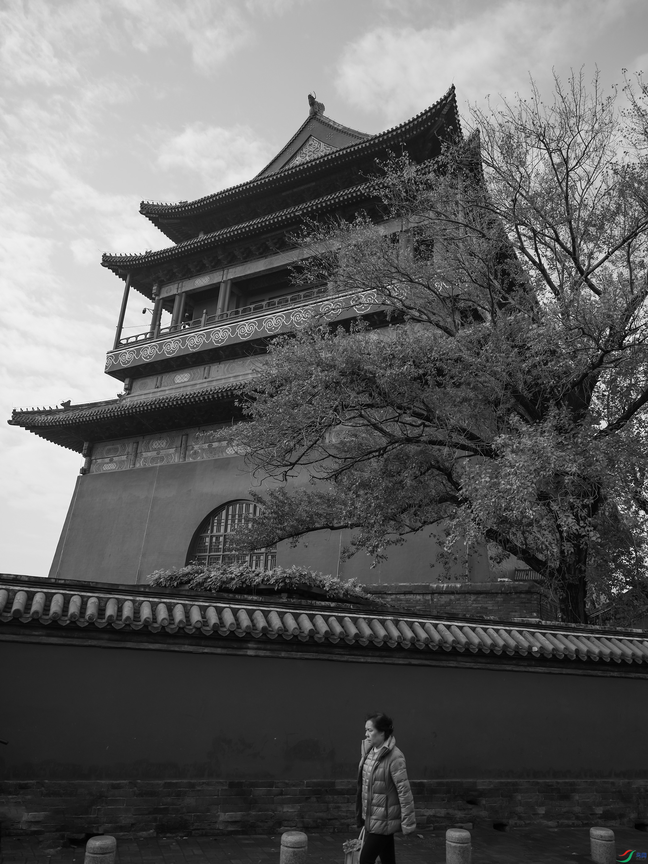 DSCF0018 ����.jpg