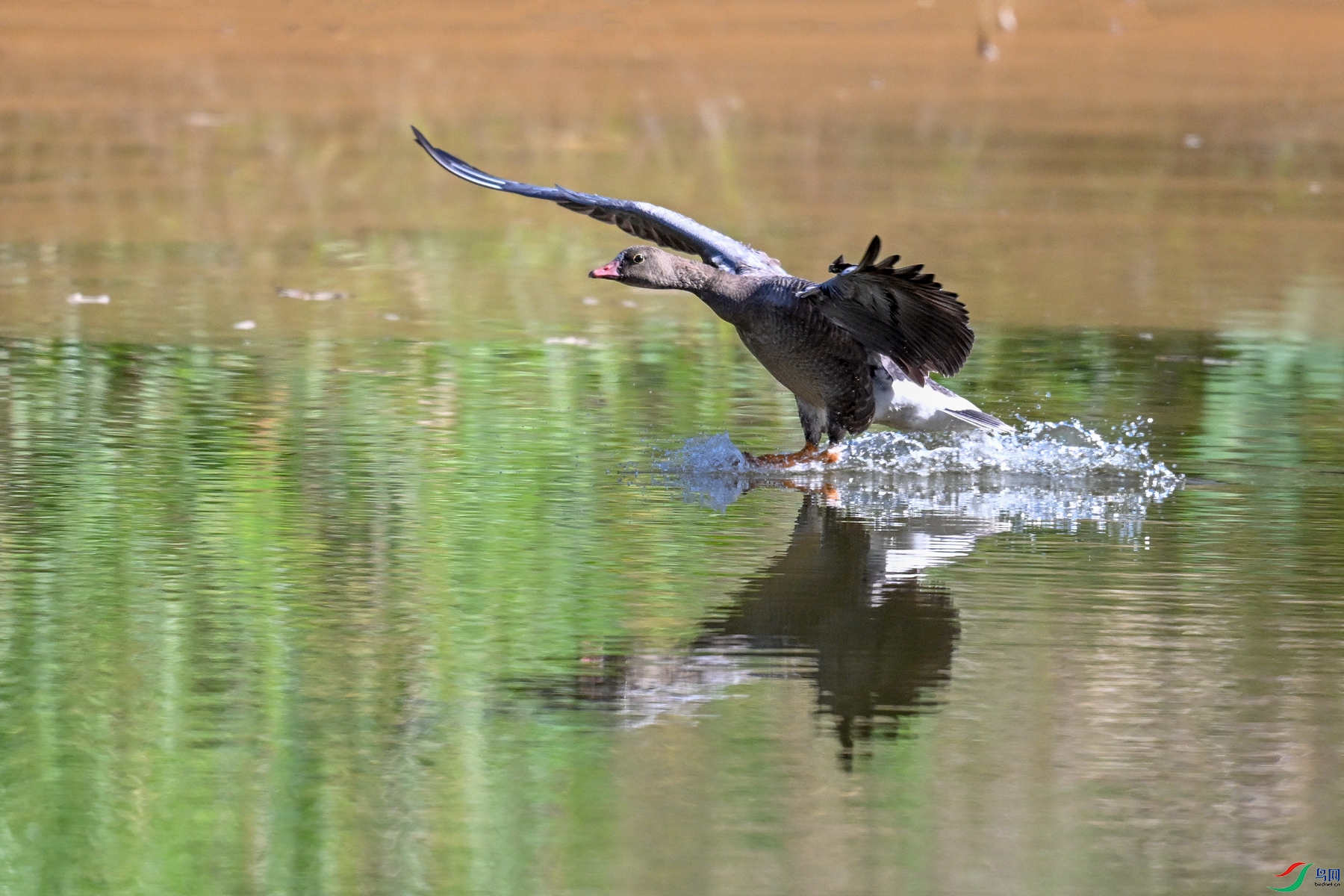 DSC_5652.JPG