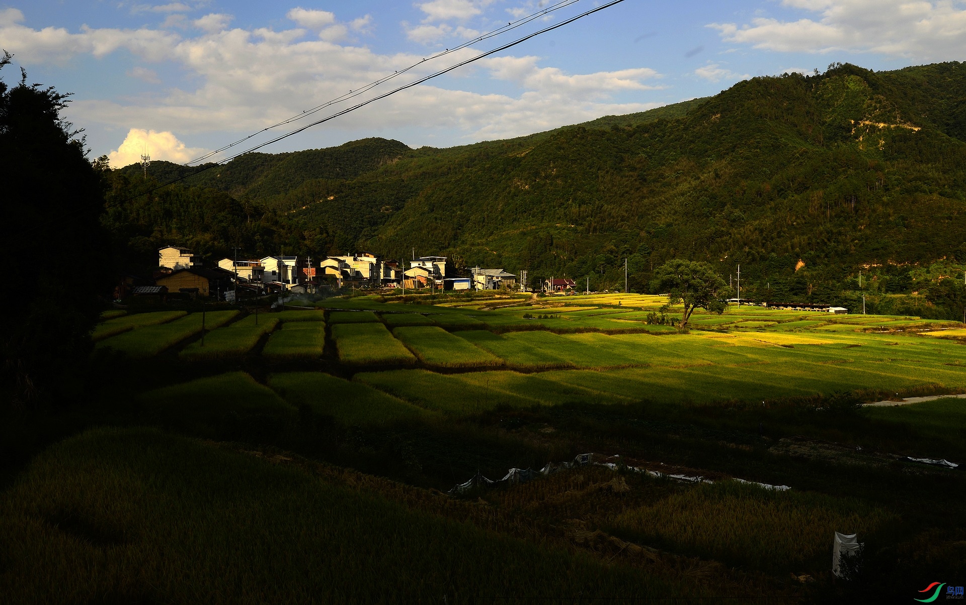 _D801205.jpg