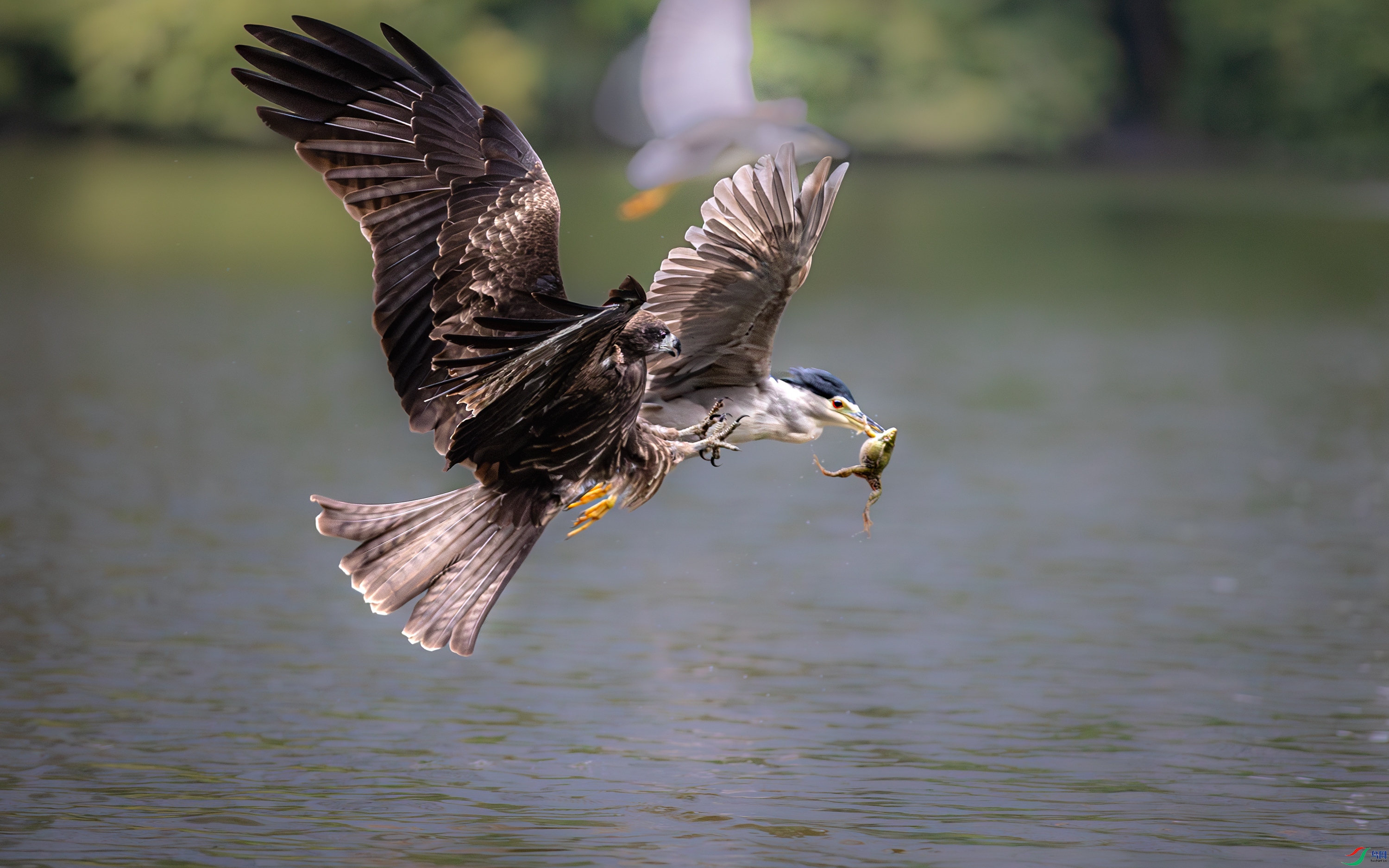A15I5765-R-1 ����.jpg
