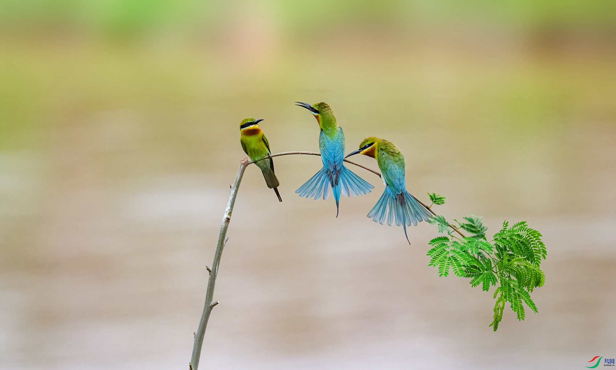 DSC_9127_����.jpg