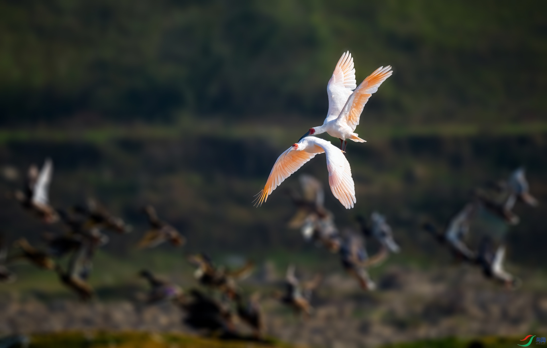 DSC_7153v.jpg