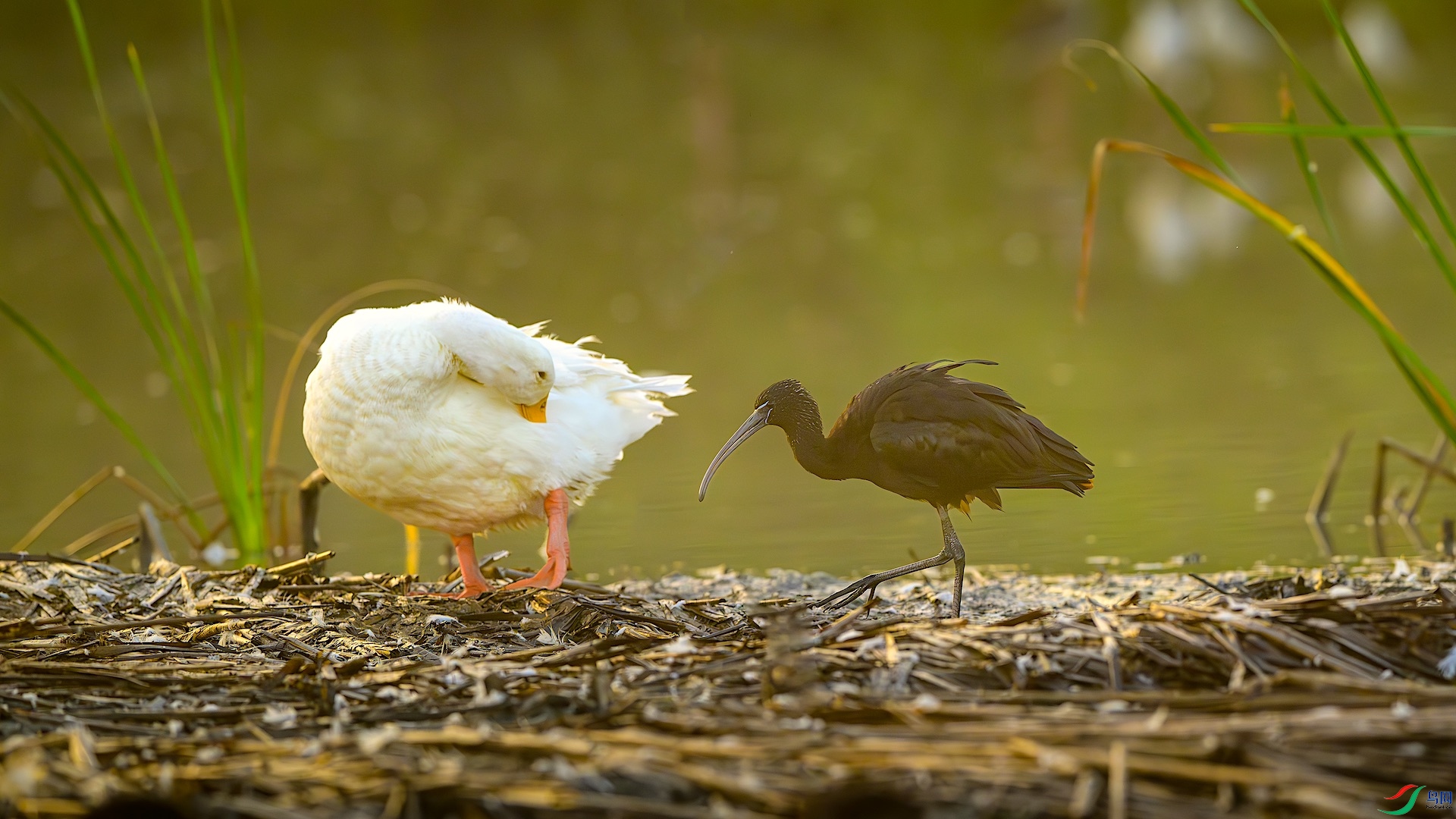 2_XXL5434-����ǿ-NR ���� 2.jpeg