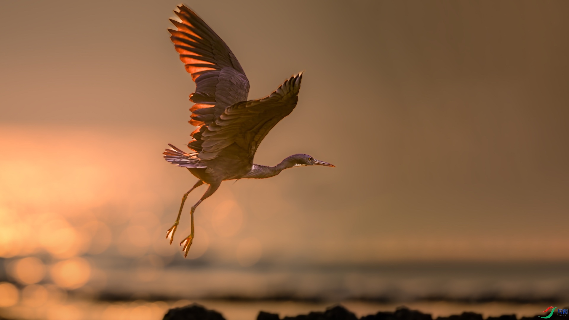 2_XXL8297-����ǿ-NR ���� 2.jpg