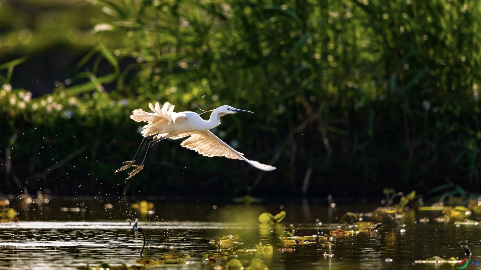 3_XXI8646 ����.jpeg