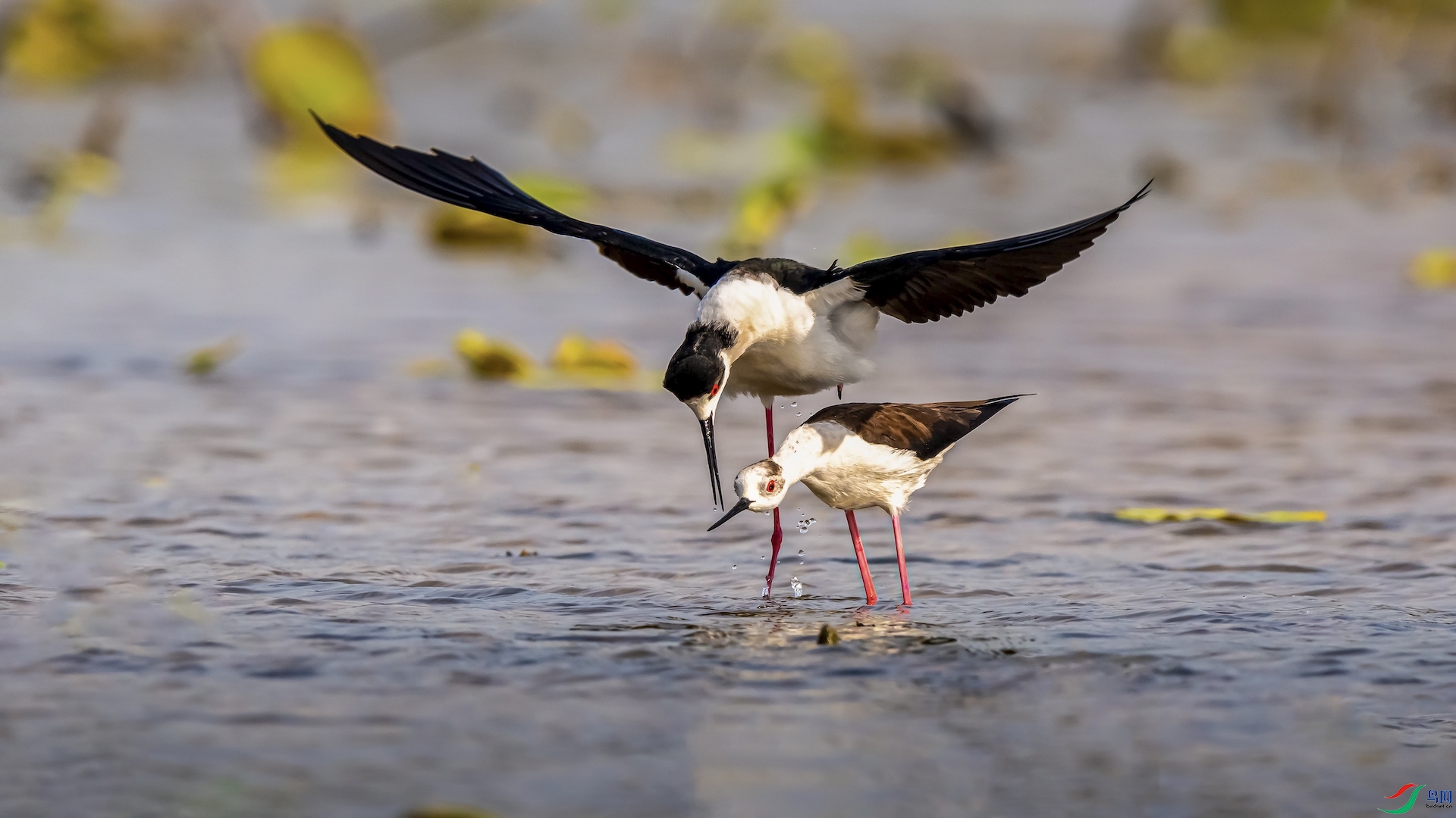 3_XXI8830 ����.jpeg