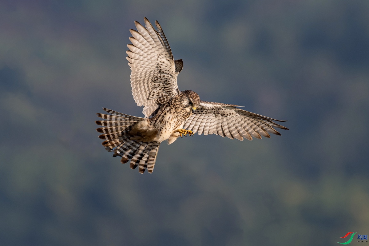 WXL_5920_DxO ����33333.jpg