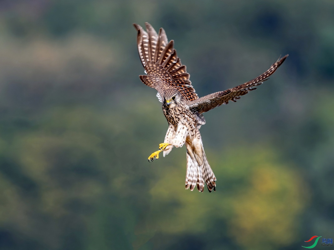 WXL_6553_DxO ����-DeNoiseAI-standard.jpg