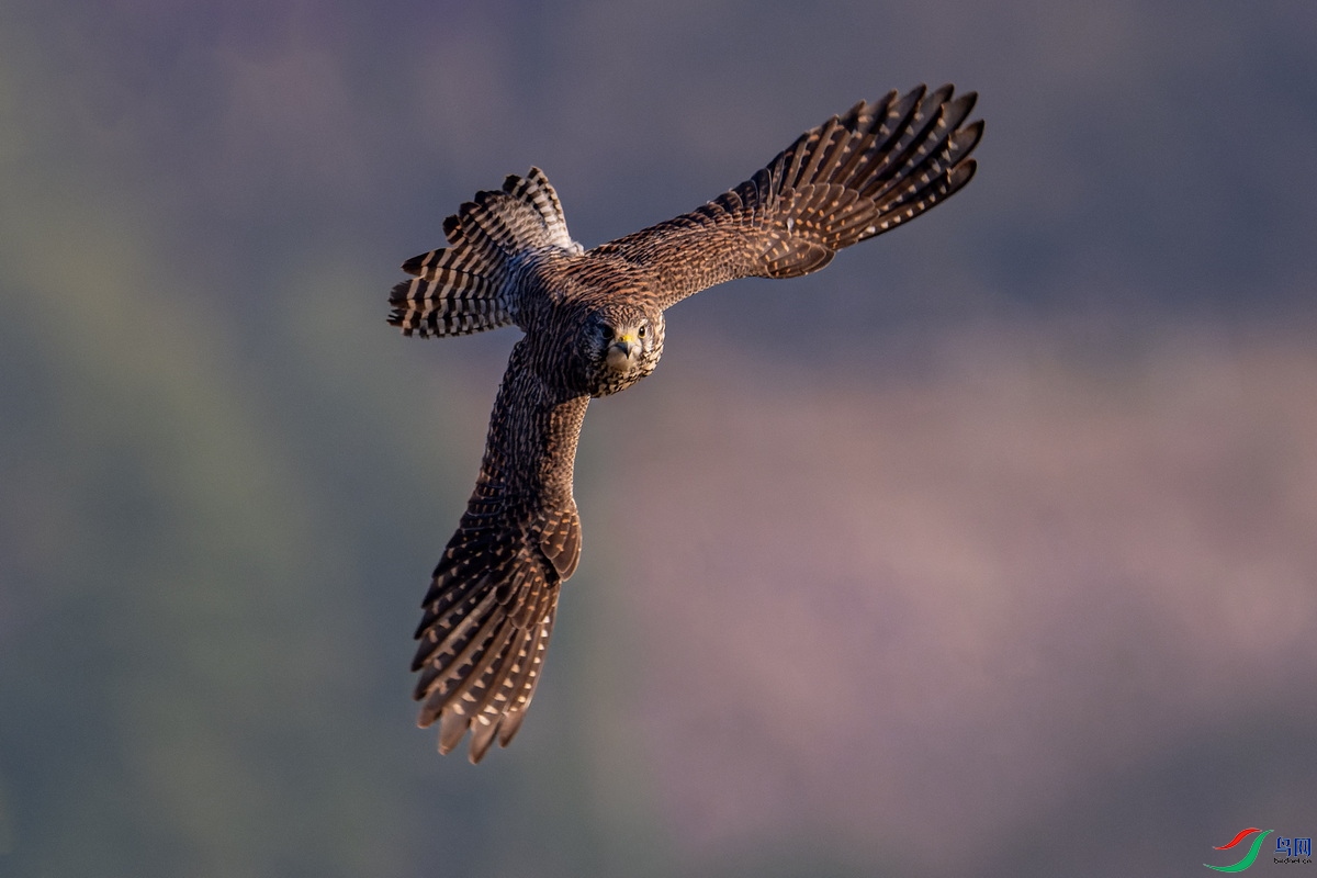 WXL_5897_DxO ���� 2.jpg