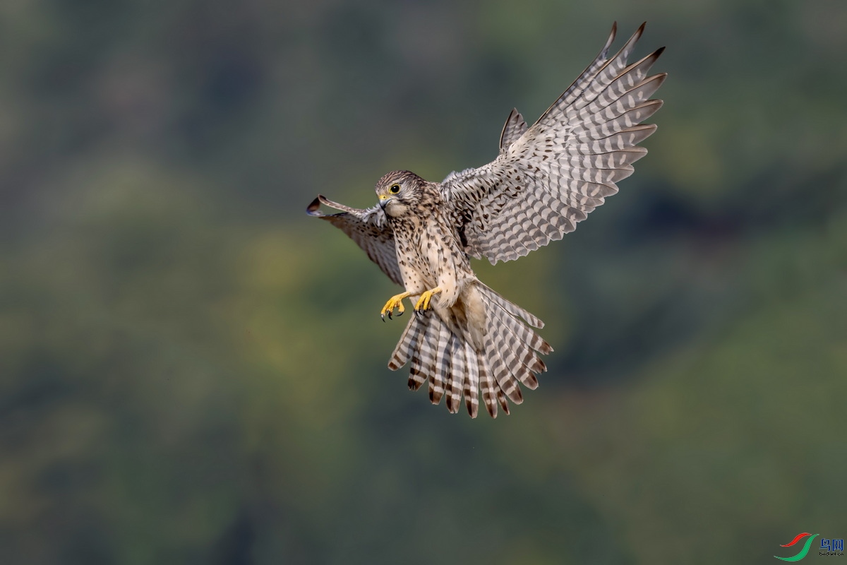 WXL_6544_DxO ����02.jpg