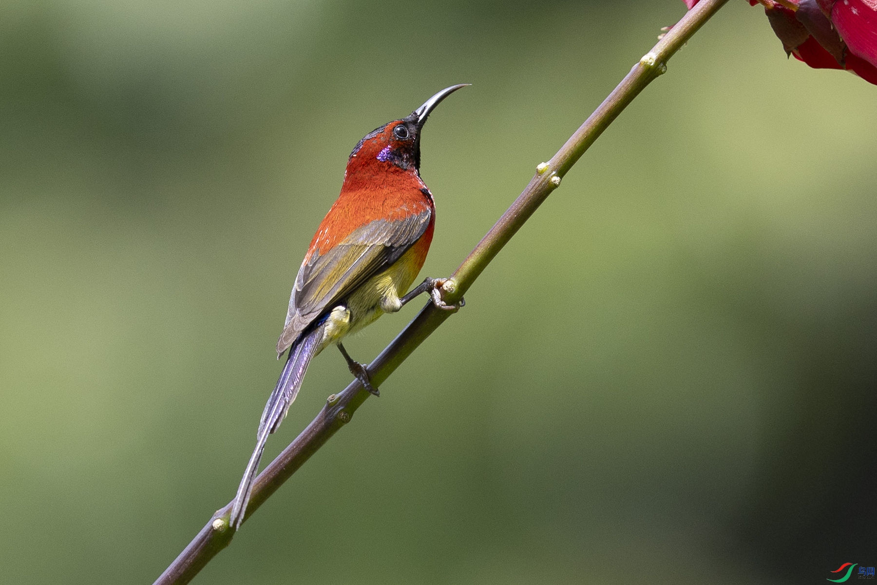 ����̫����3