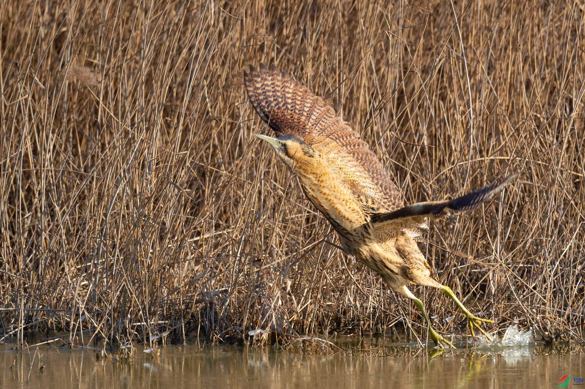 sen2016 11-23-9-�༭-3.jpg