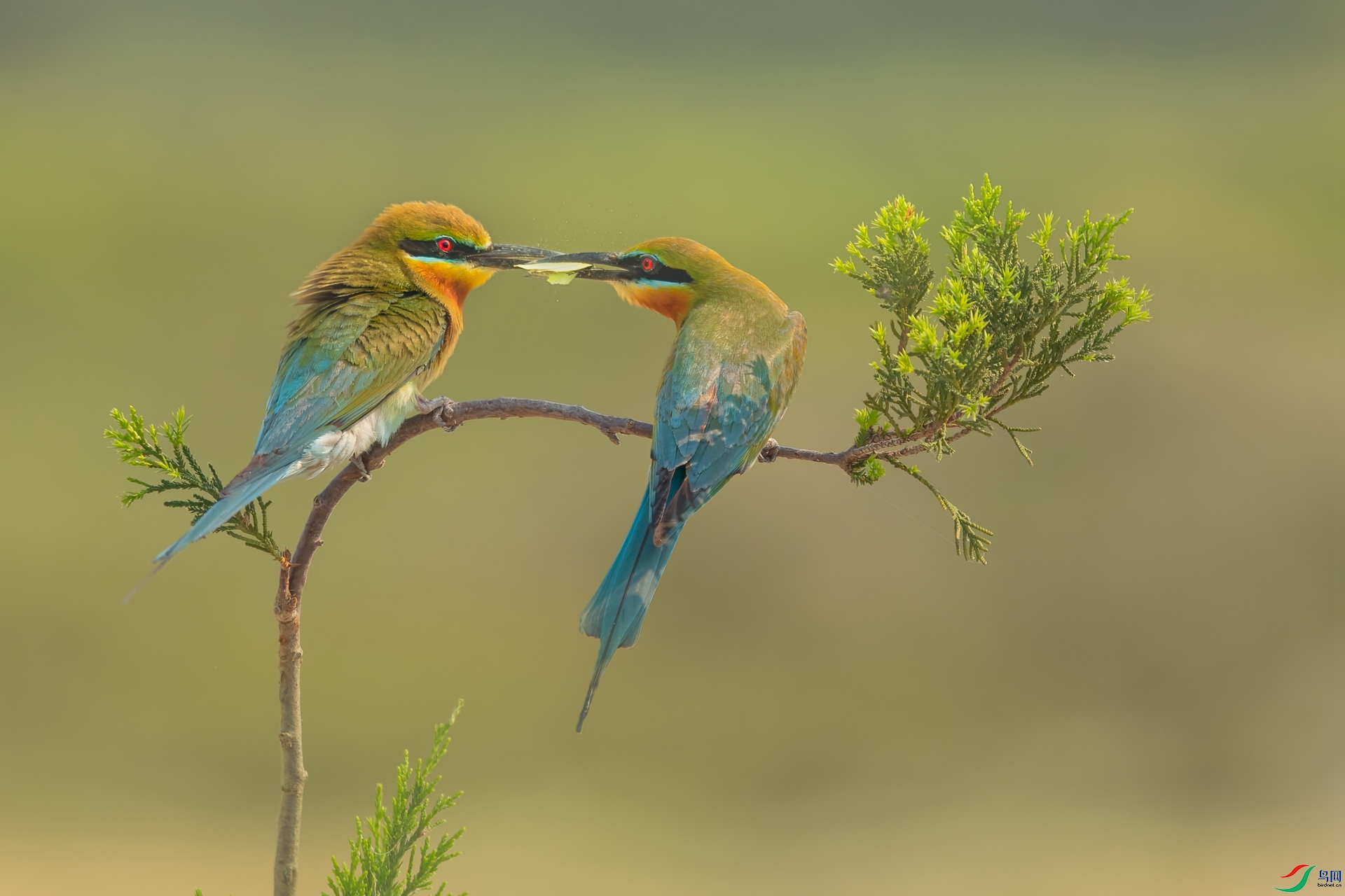 B86I7763 _����.jpg