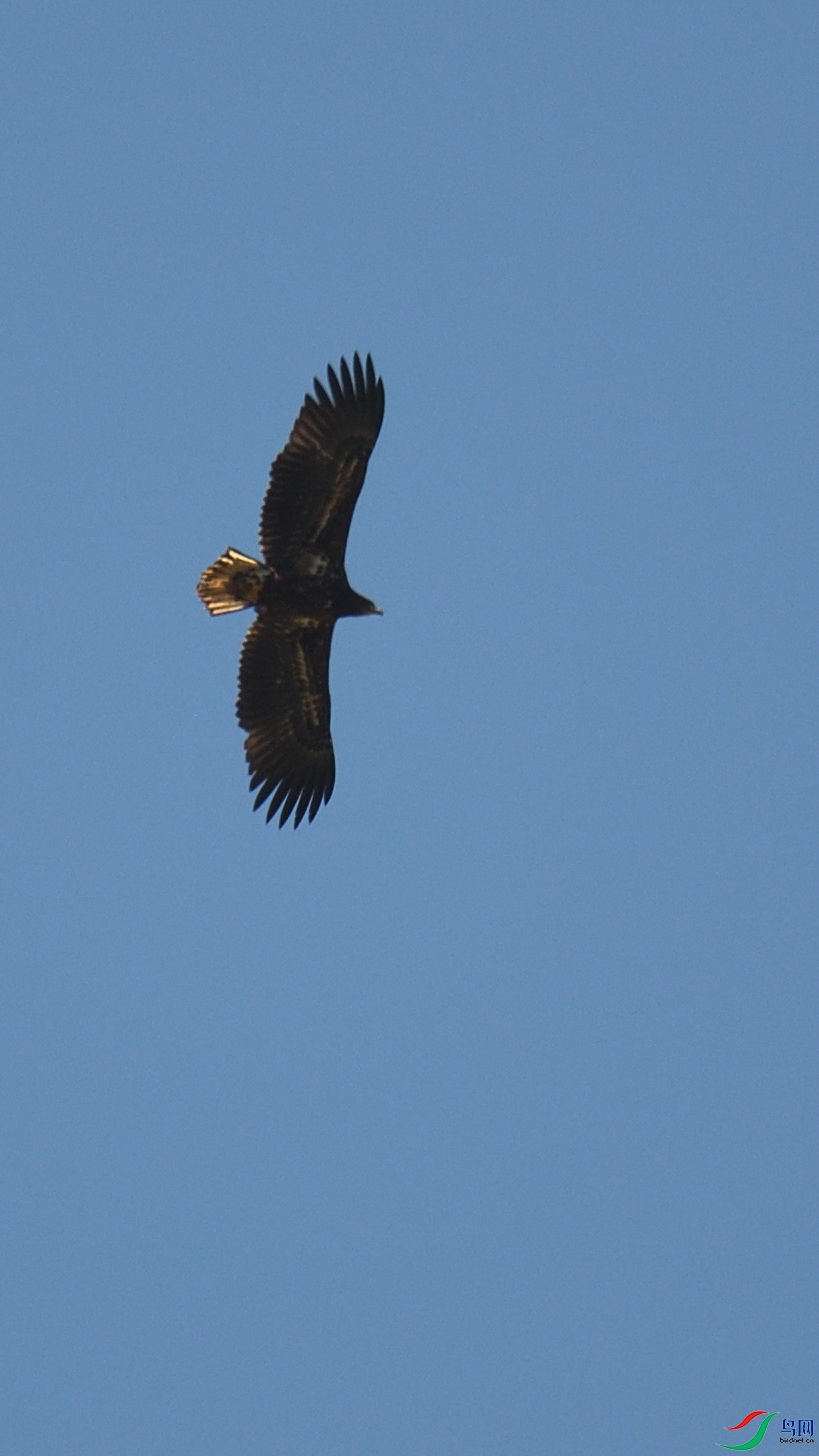 DSC_7757.JPG
