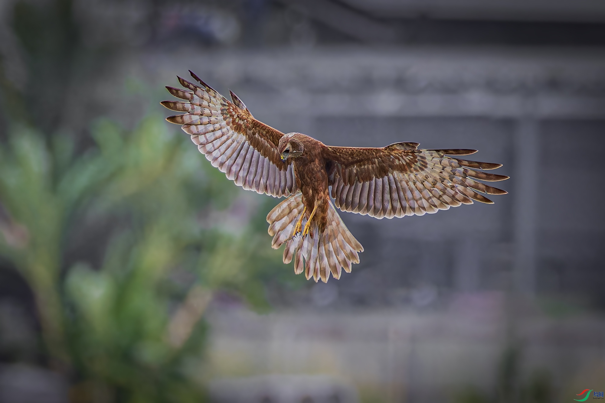 _97A9951-CR3 copy.jpg